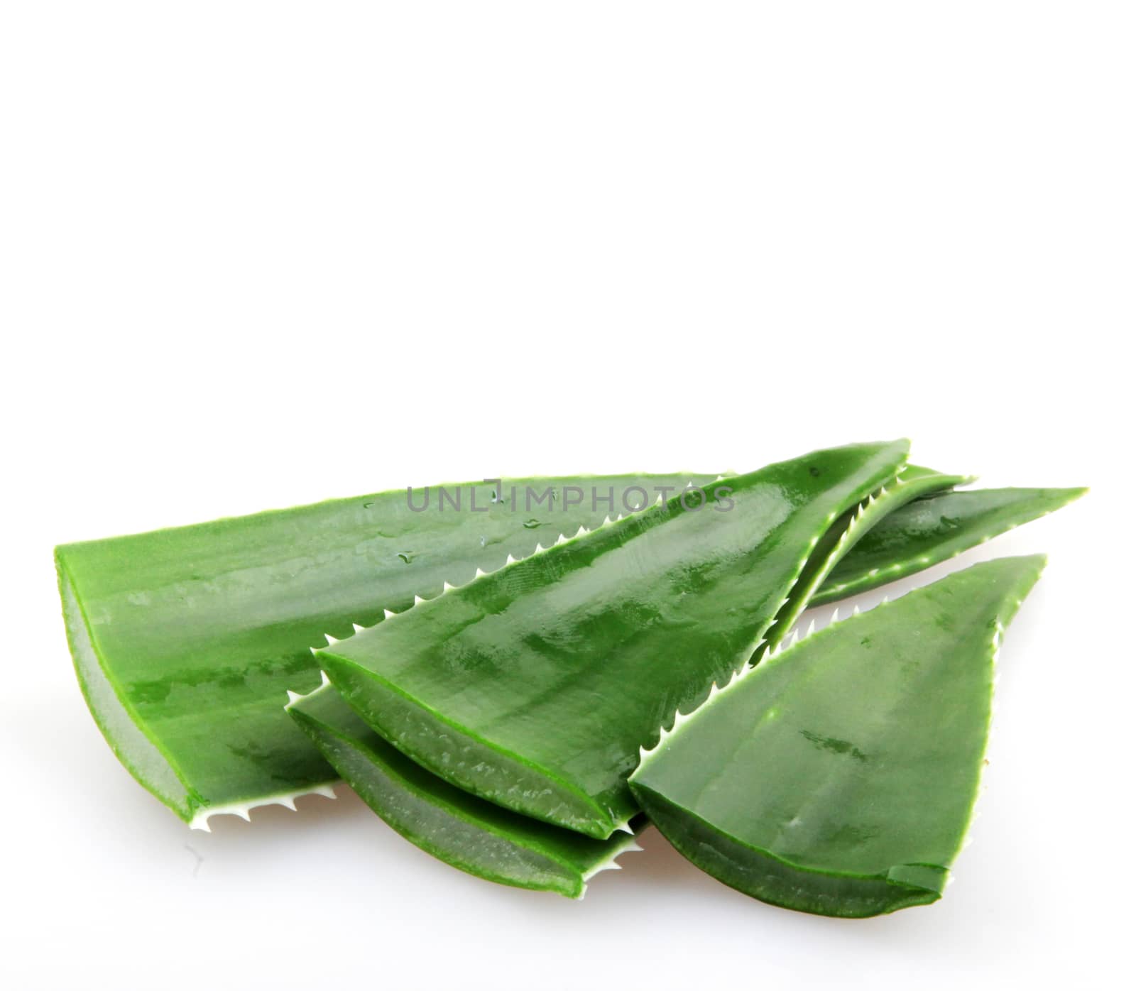 Aloe vera