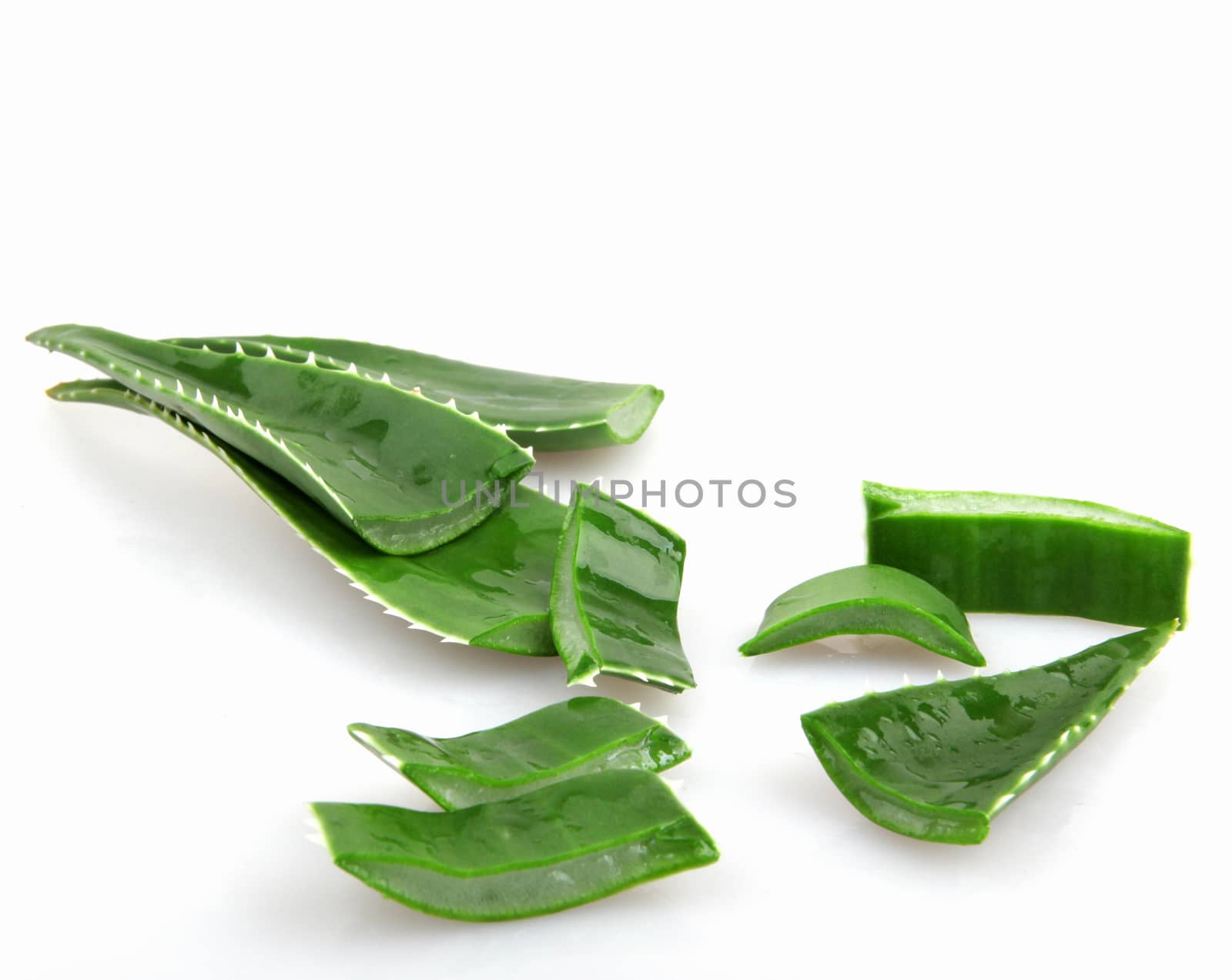 Aloe vera