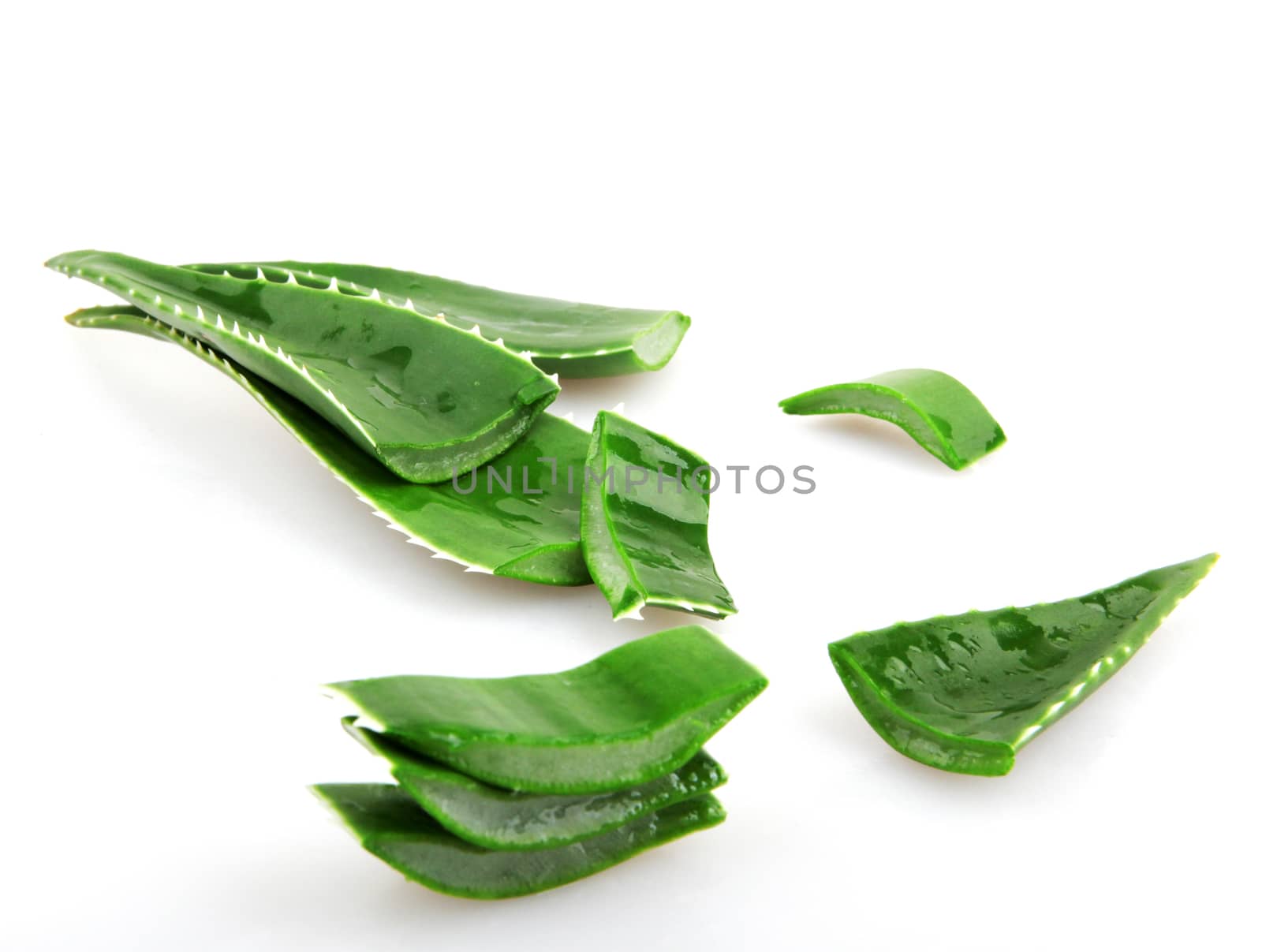 Aloe vera