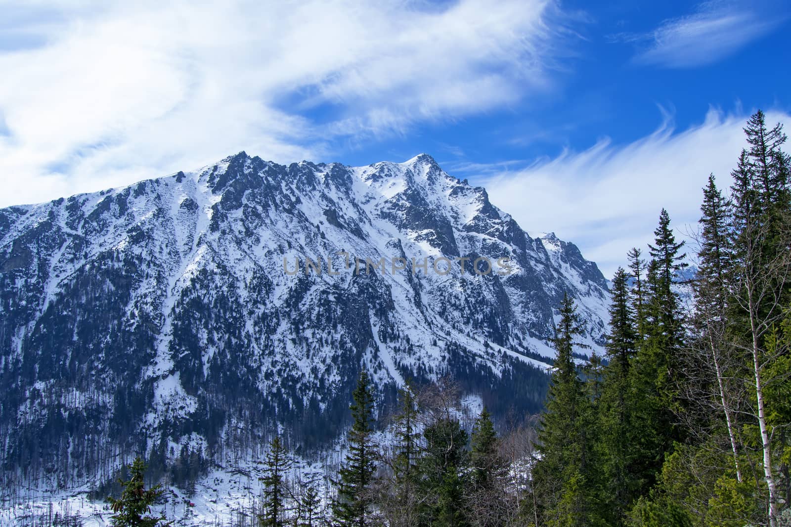 Mountains in winter with forest and blue sky