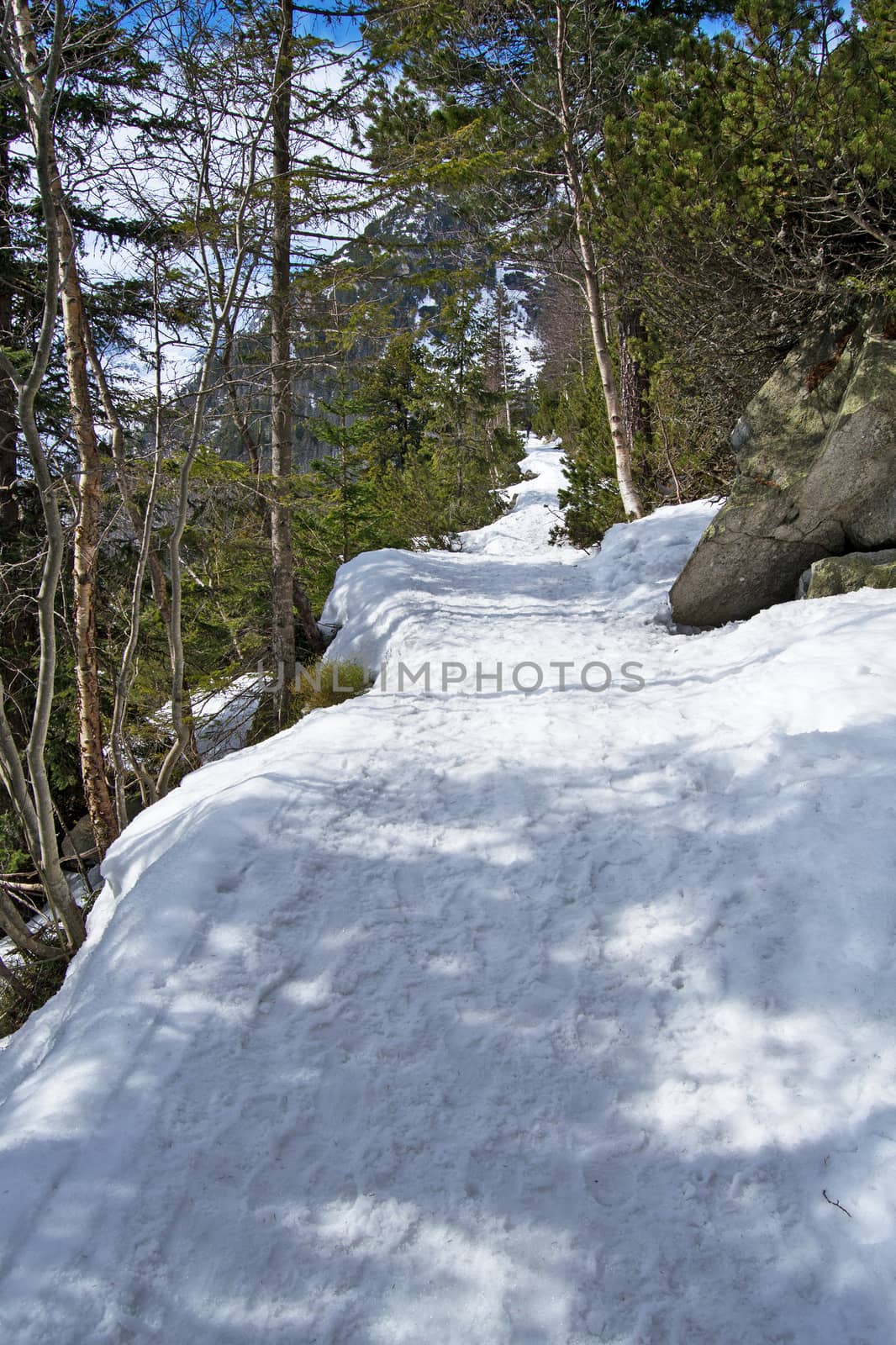 Mountain tourist path in winter