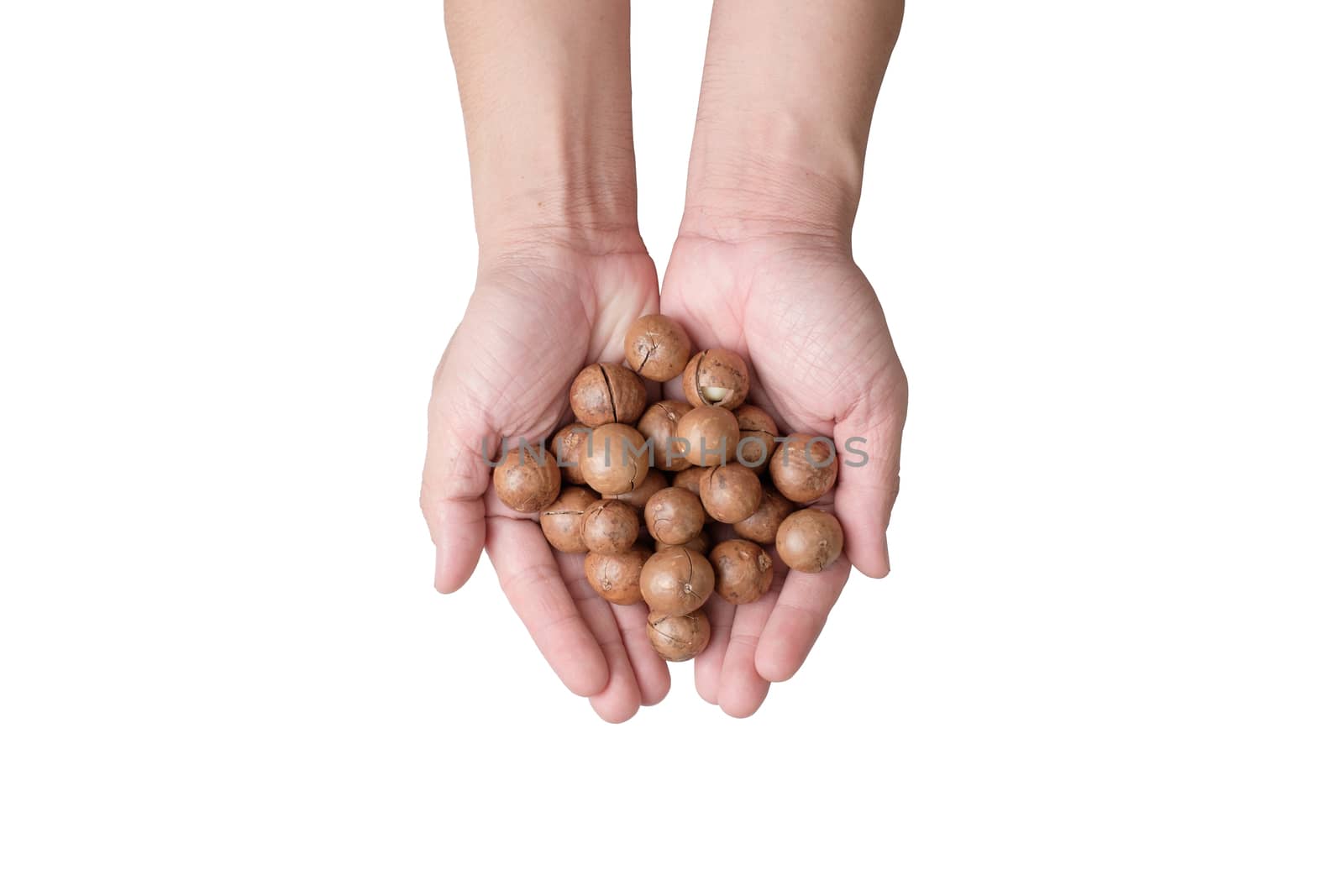 Two hands holding macadamia nuts in isolate photo.