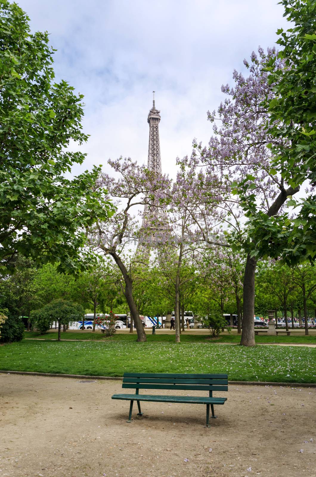 Eiffel Tower at Champ de Mars Park by siraanamwong