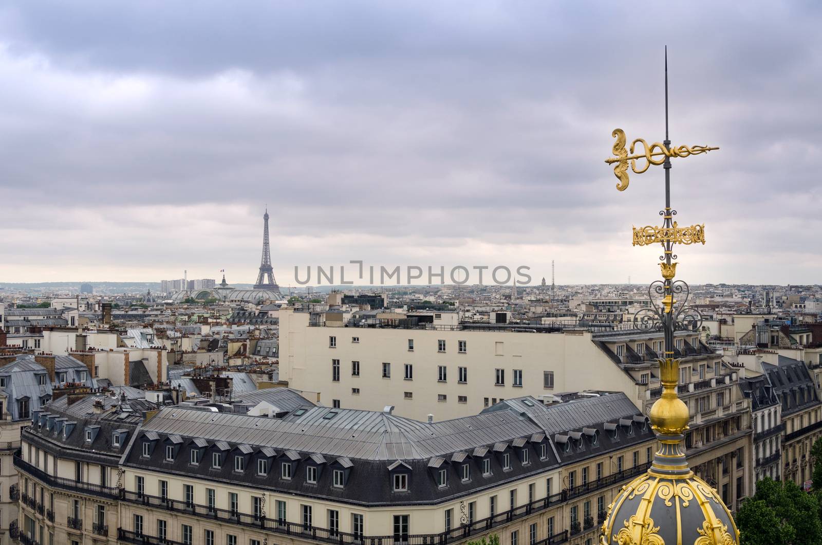 Roofs of Paris with Eiffel Tower in Paris, France.