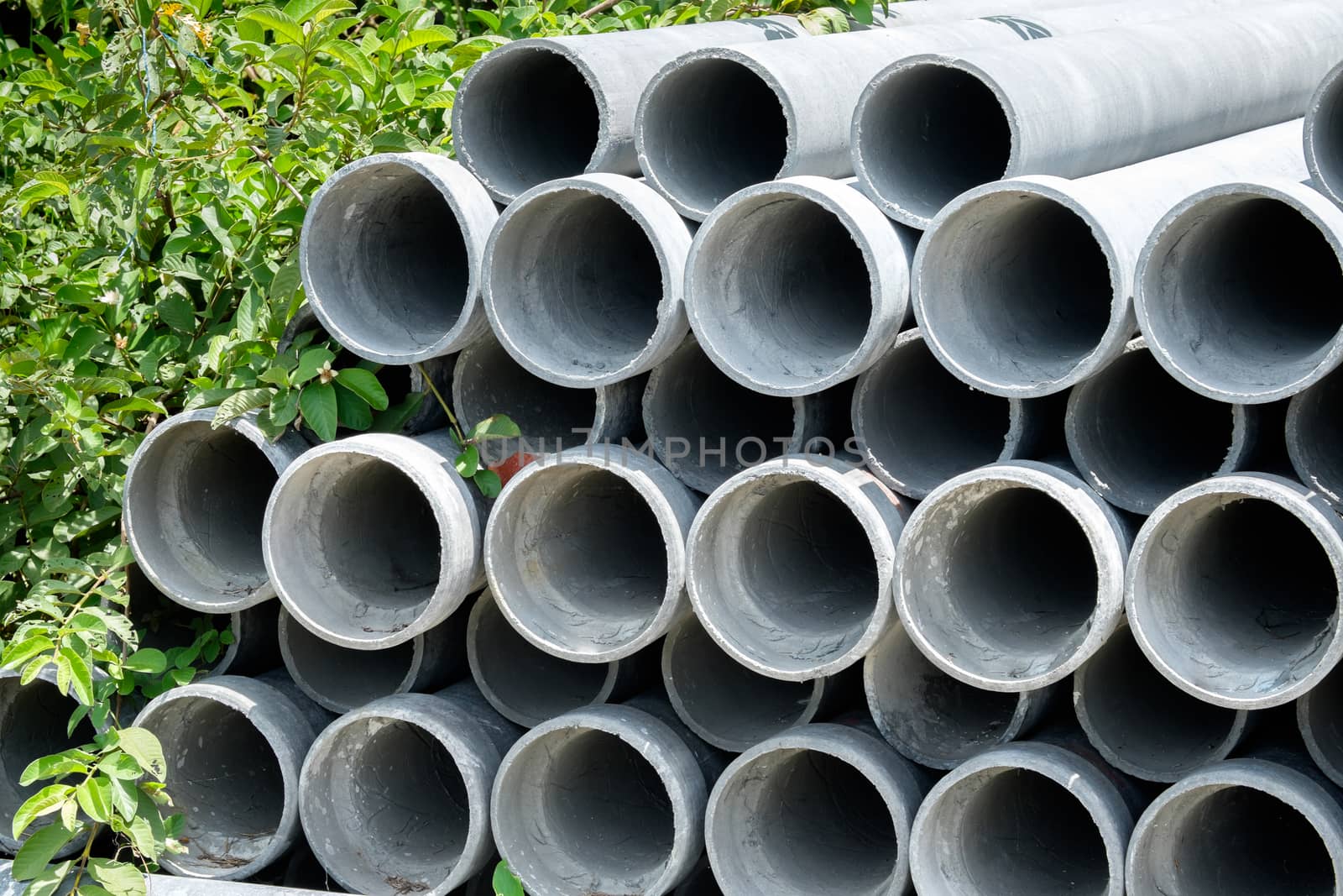 Arrange cement pipe near tree in warehouse