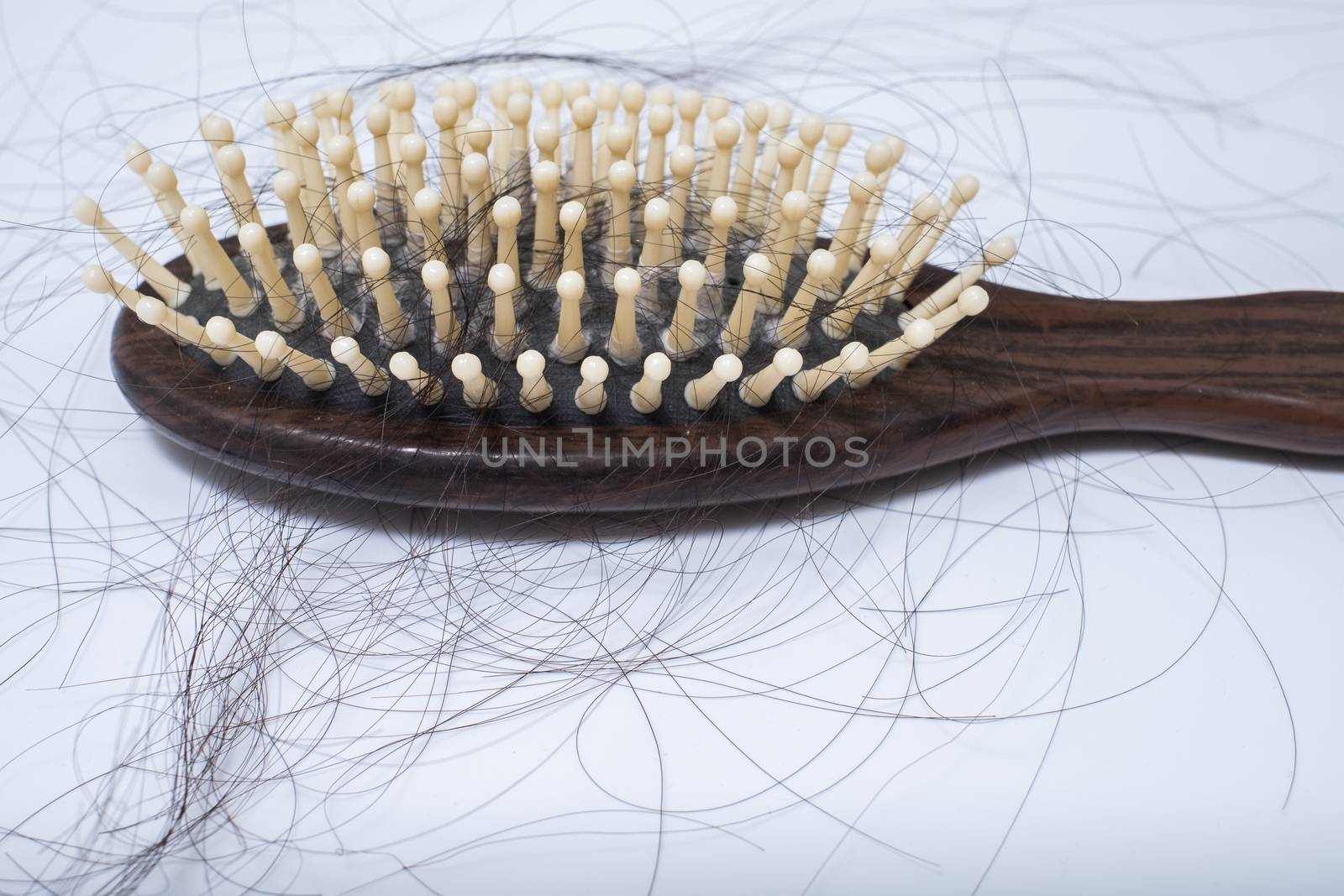 Hair loss problem on bruch, on white background by zneb076