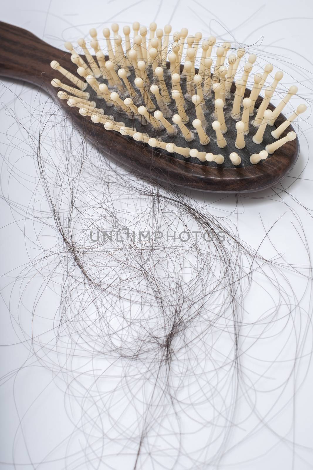 Hair loss problem on bruch, on white background by zneb076