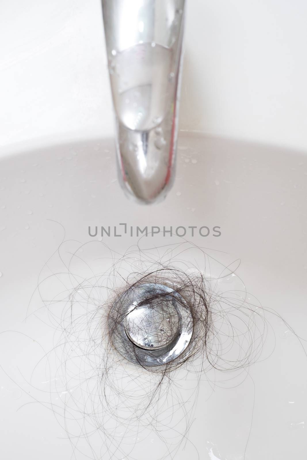 Hair loss problem in white sink.