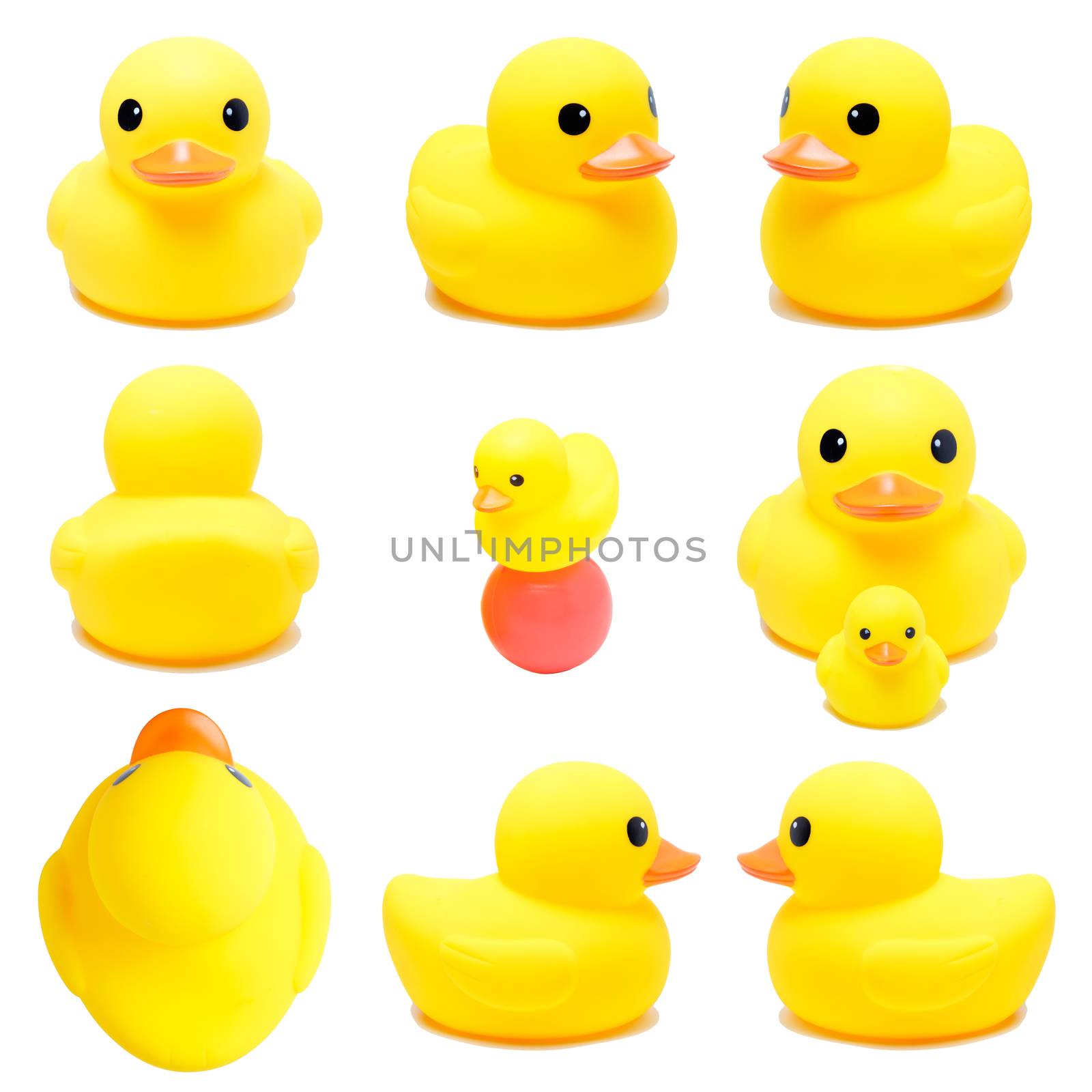 Collection of yellow rubber duck on isolate white background
