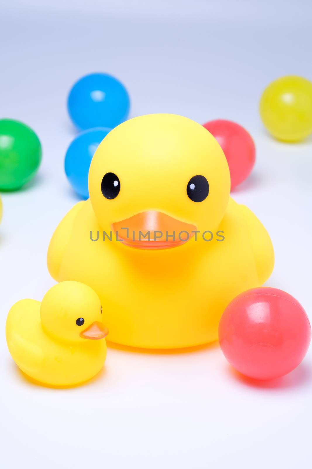 yellow rubber duck with colorful ball in white background