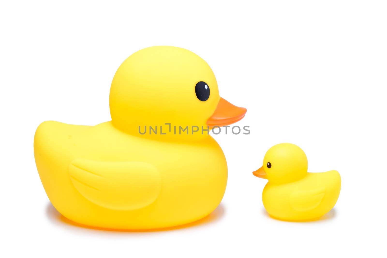 Yellow rubber duck toy in isolate white background by zneb076