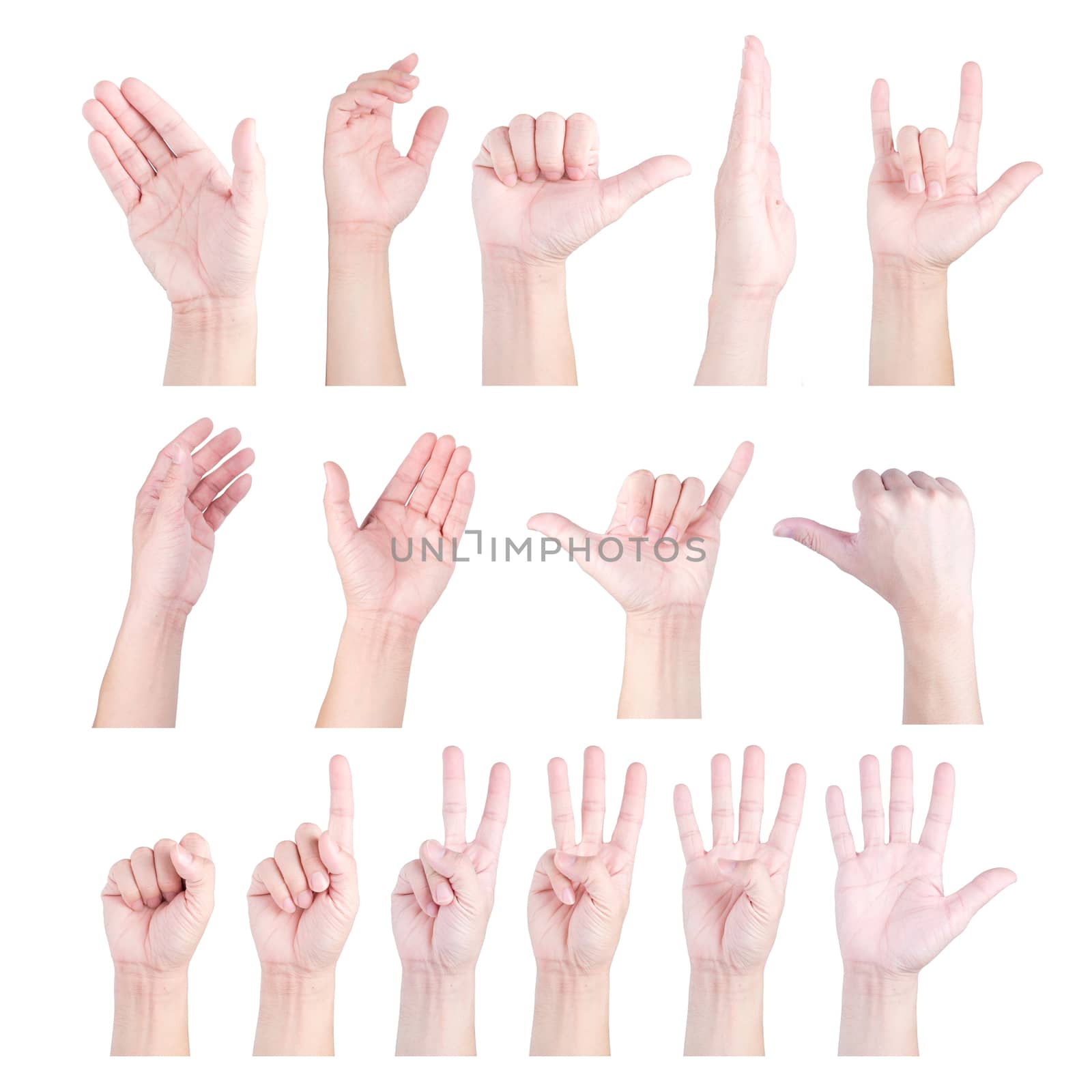 Collection of hands