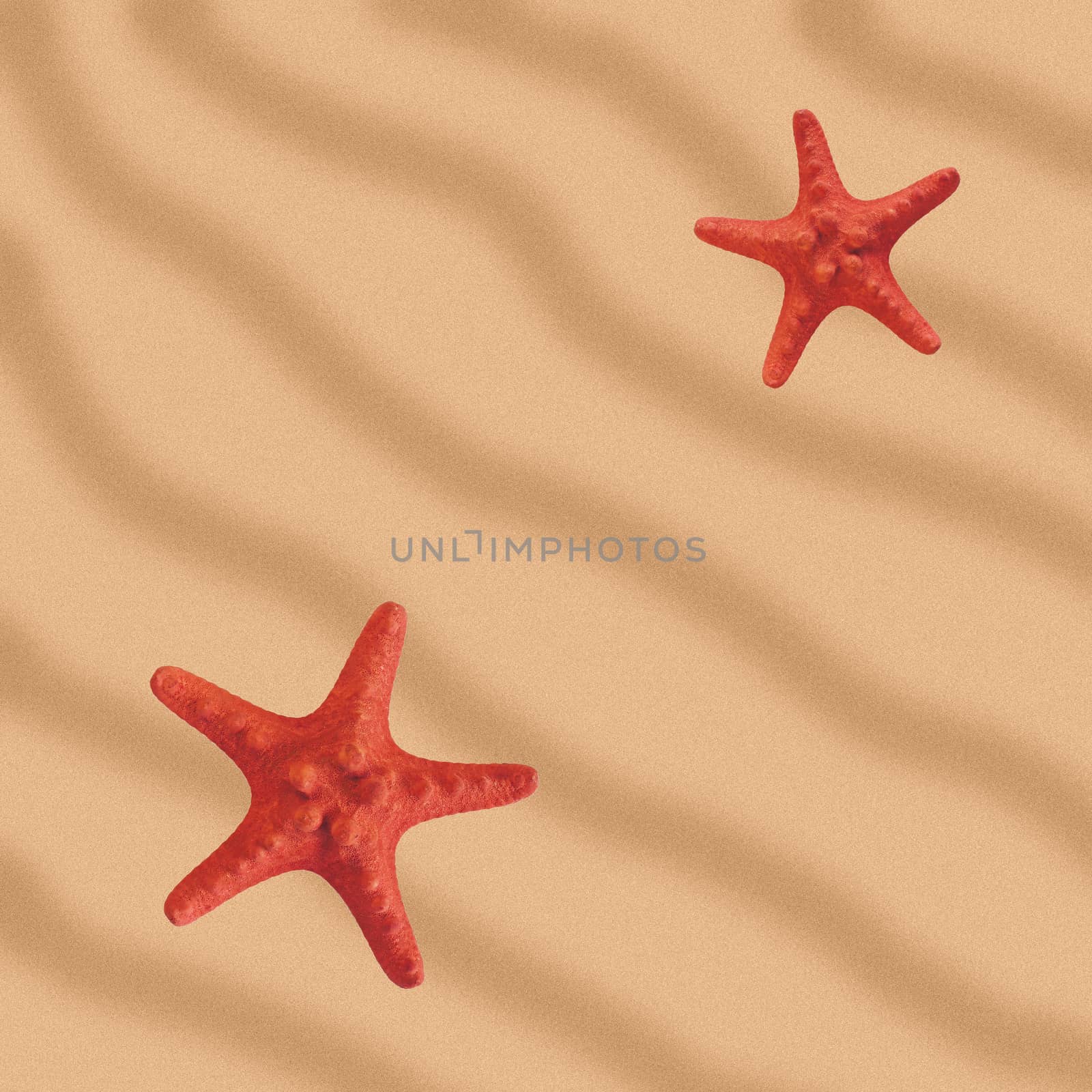 Two red starfish on yellow sand.