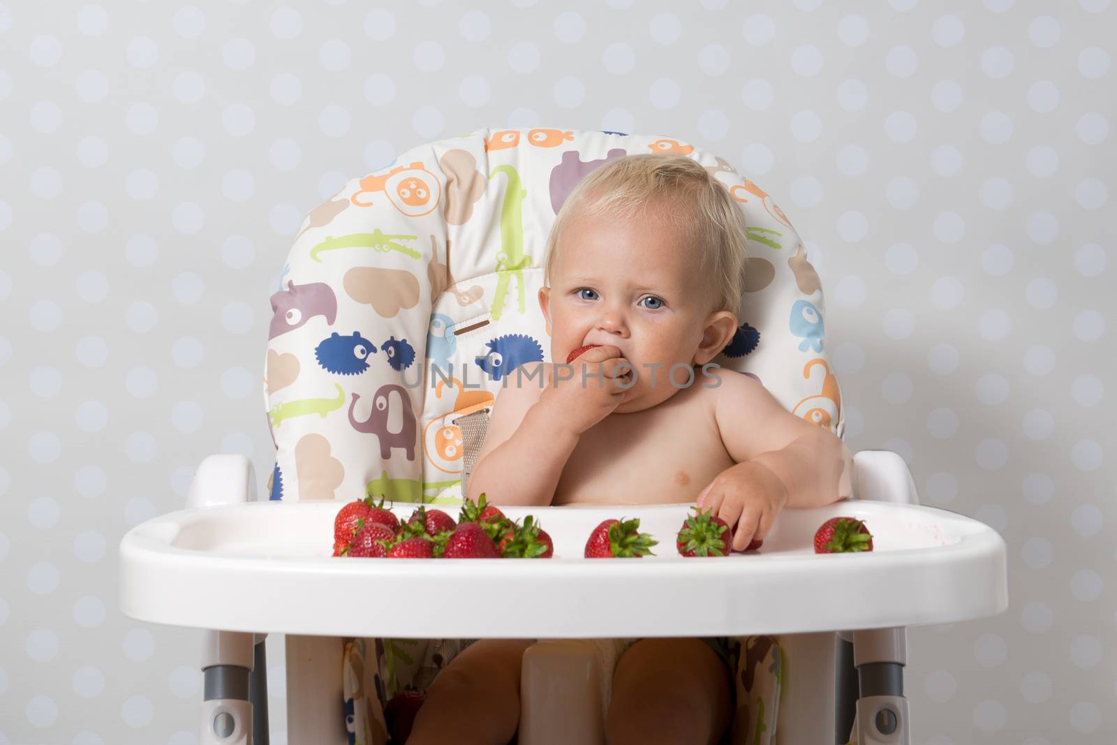 baby girl sitting in a highchair eating fresh strawberries