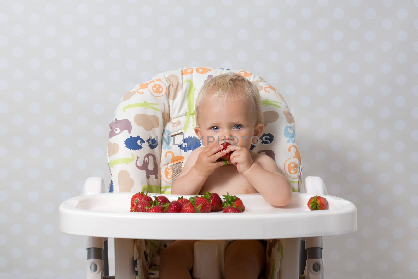 baby girl sitting in a highchair eating fresh strawberries