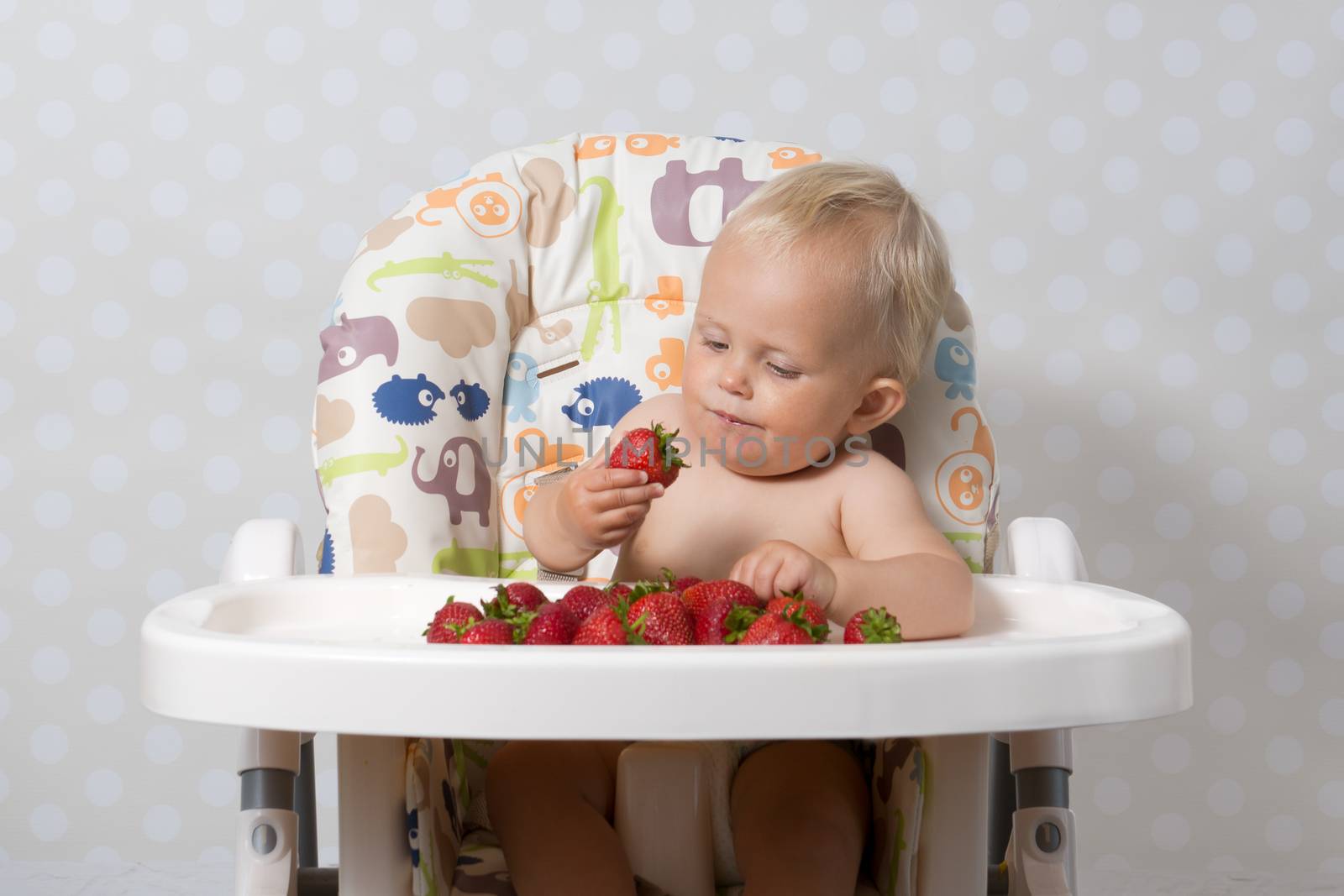 baby girl sitting in a highchair eating fresh strawberries