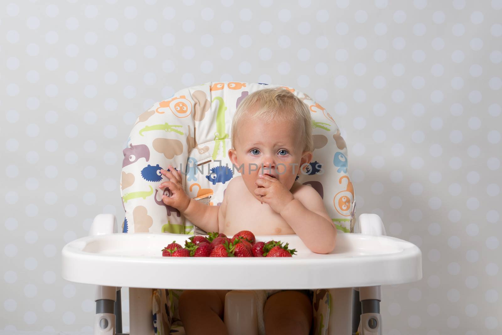 baby girl sitting in a highchair eating fresh strawberries