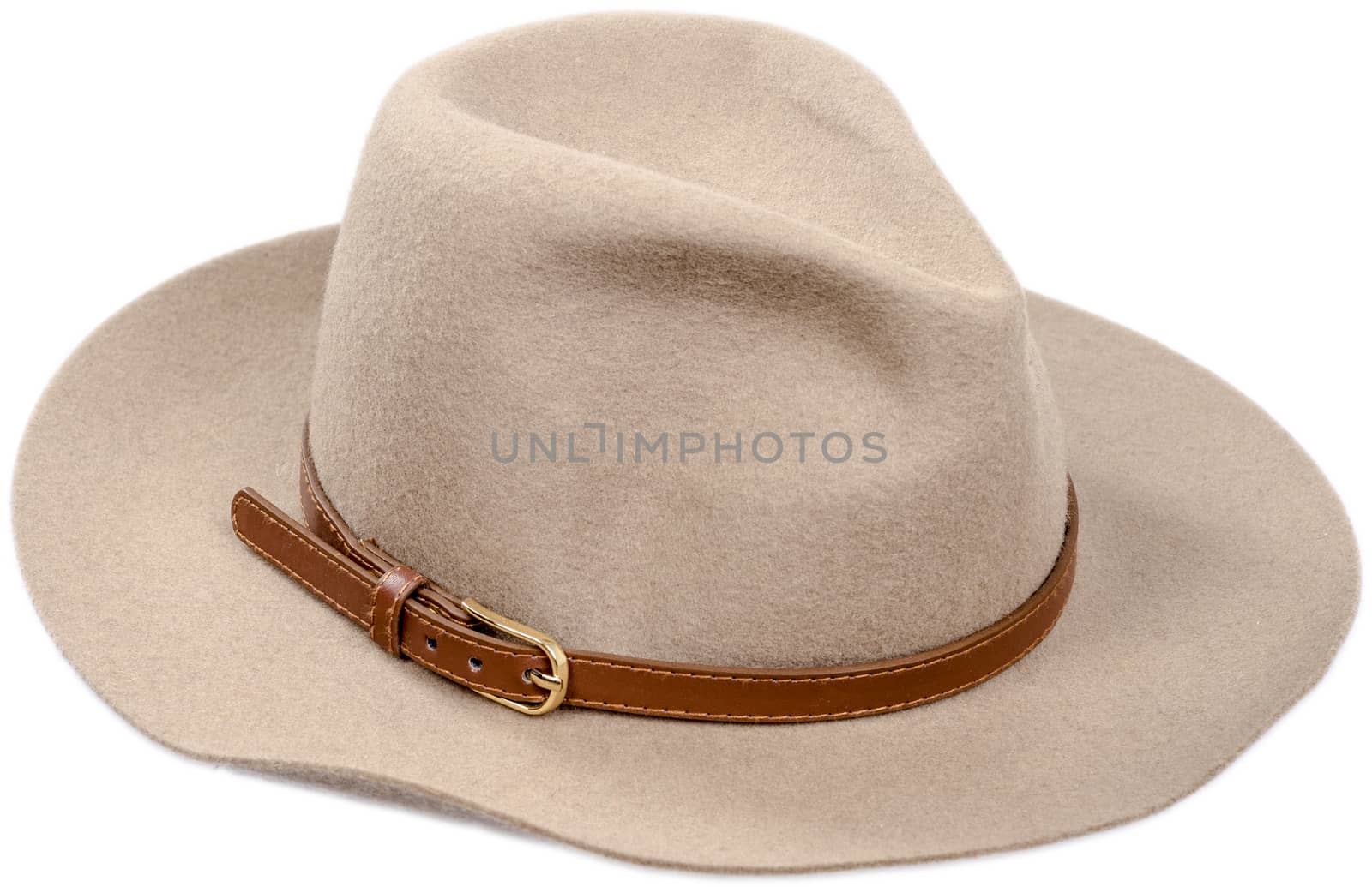 Men's felt hat on white background