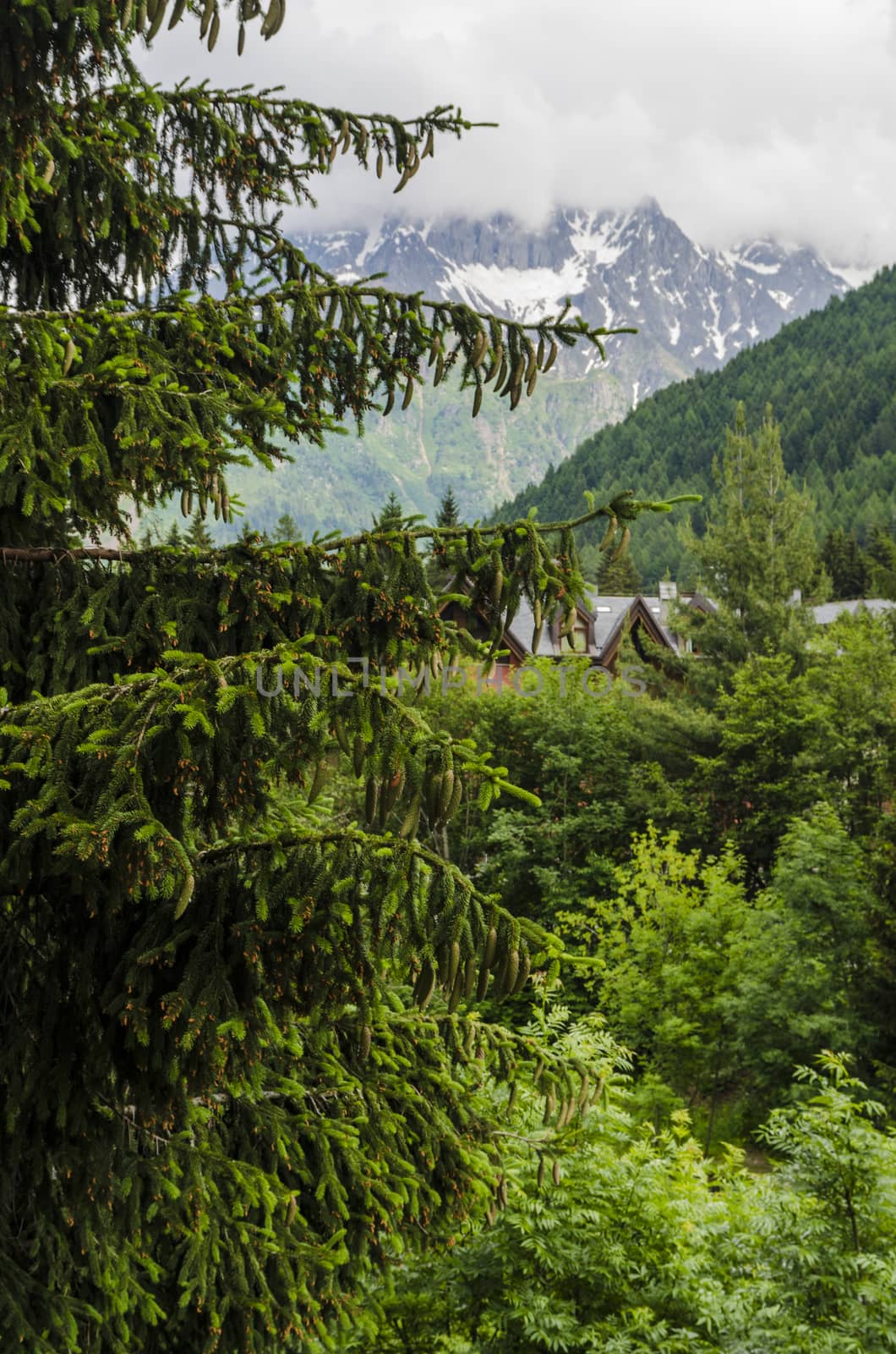 View of the Alps in Italy in summer by rogkoff