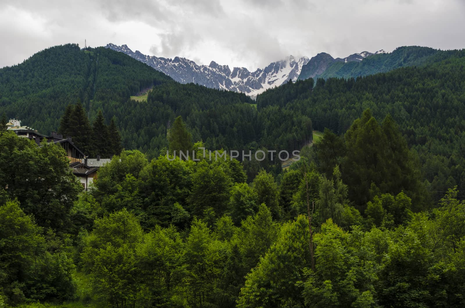 View of the Alps in Italy in summer