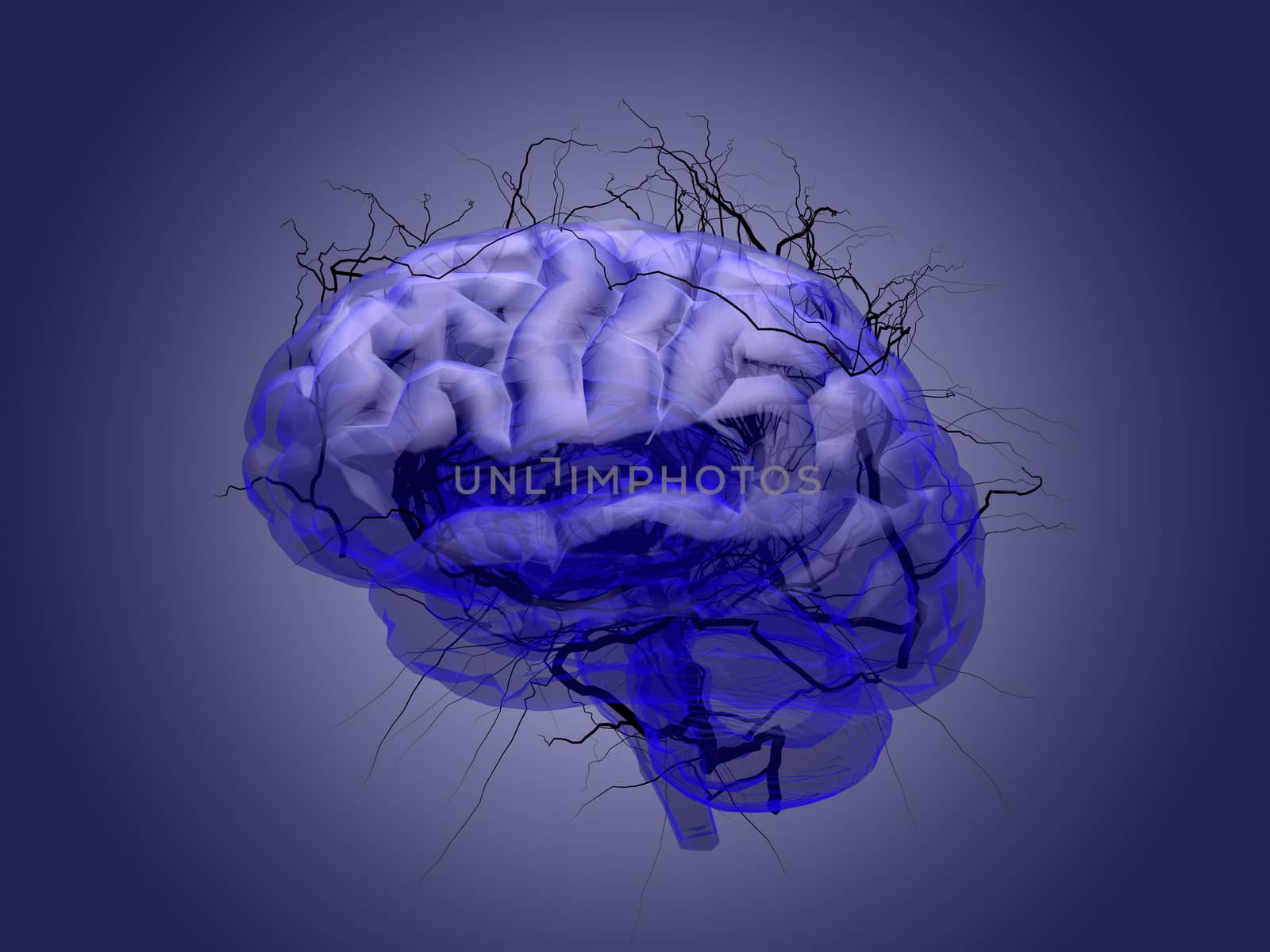 Brain root concept of a root growing in the shape of a human brain, concept