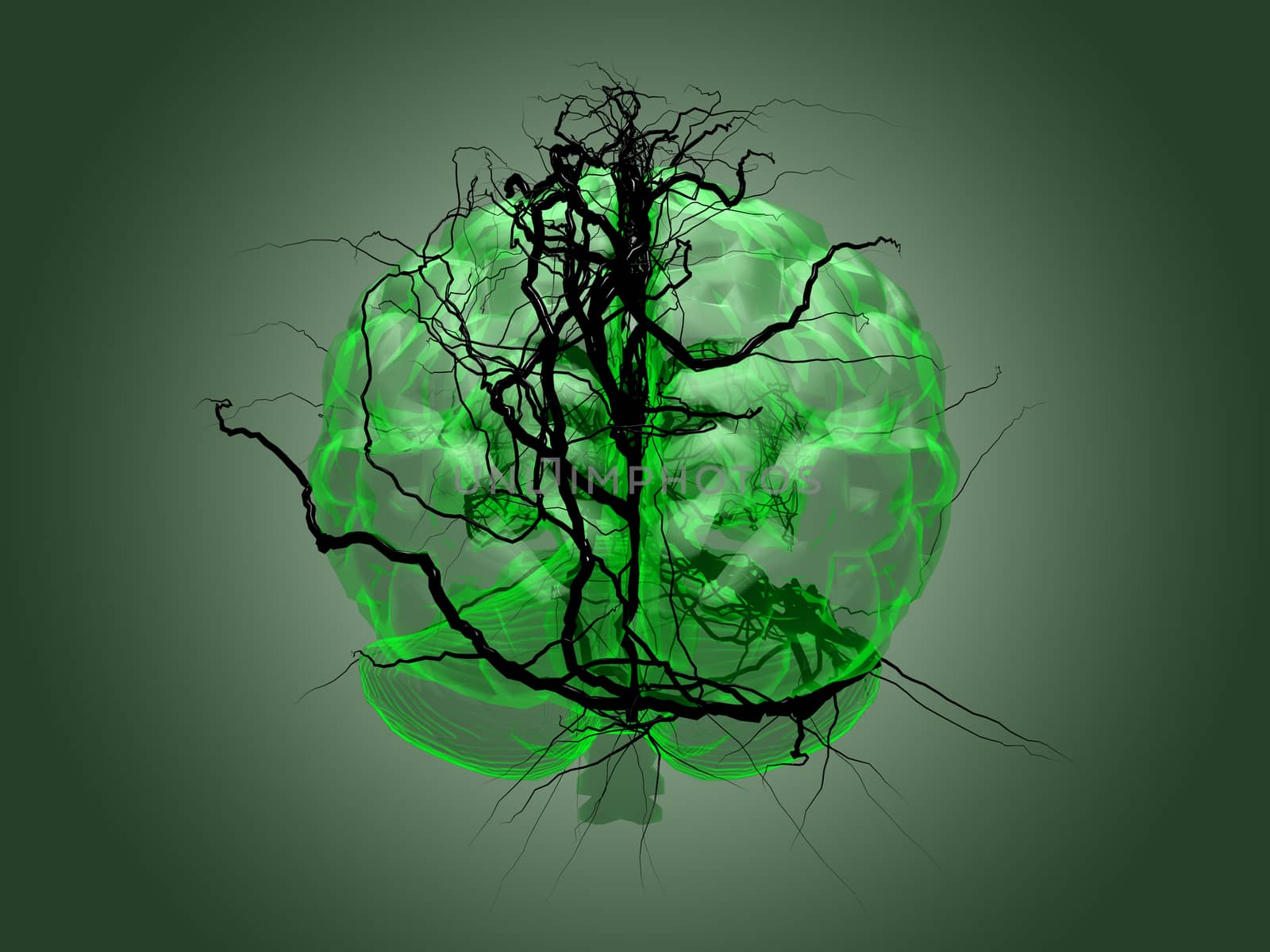 Brain root concept of a root growing in the shape of a human brain, concept