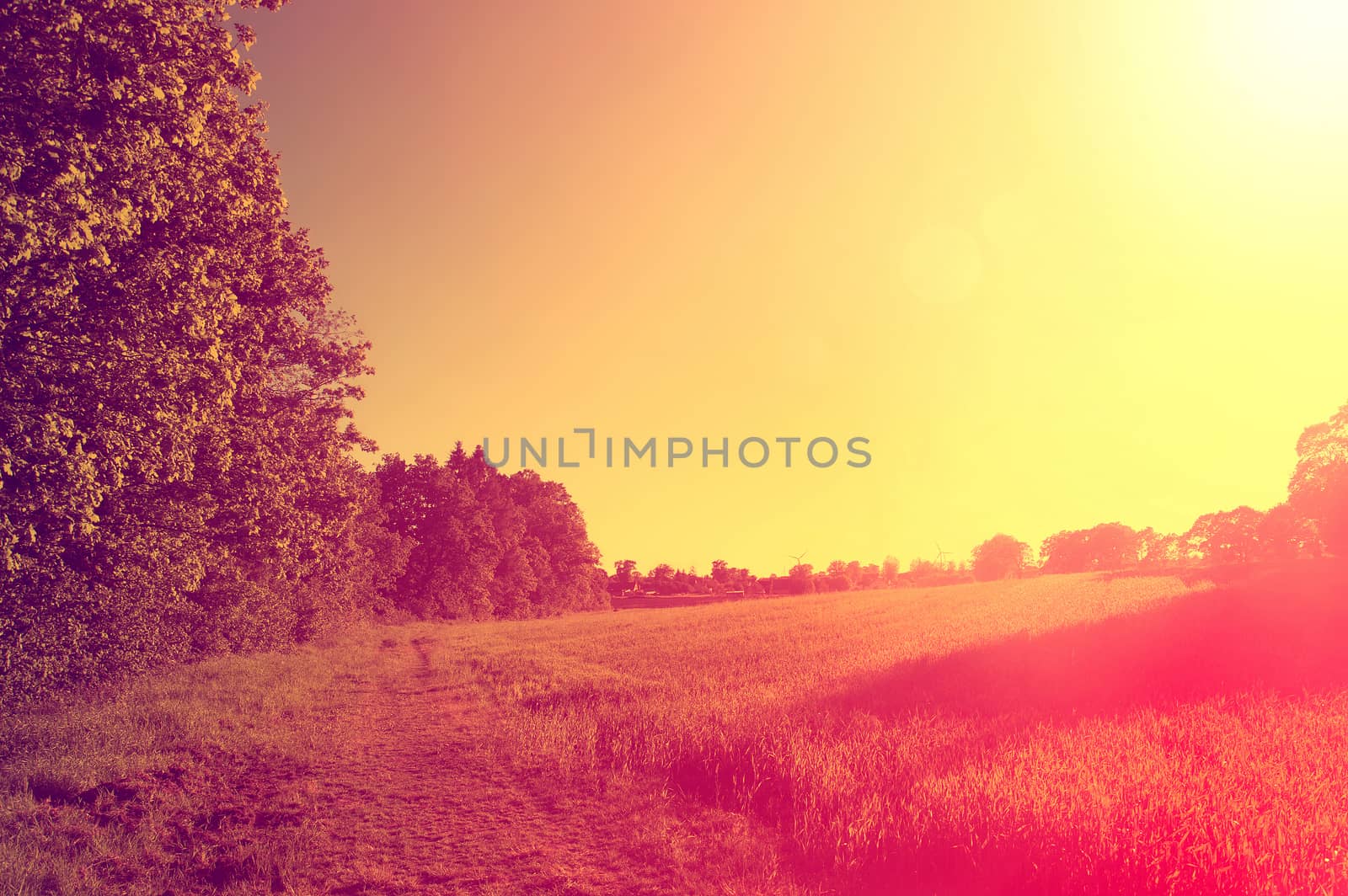 Abstract sunburst vintage summer background. Instagram vintage meadow.