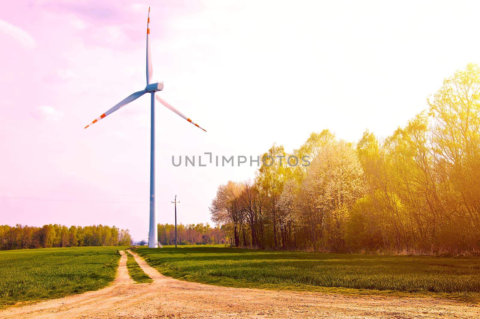 Windmill on the field with country path near forest at summer.