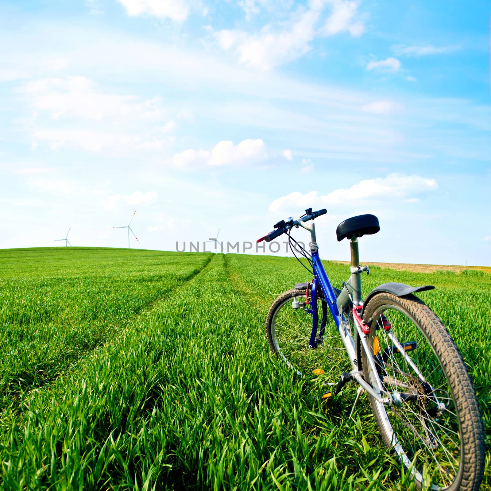 Sport and nature at summer. Bike on the green field with grass at summer.