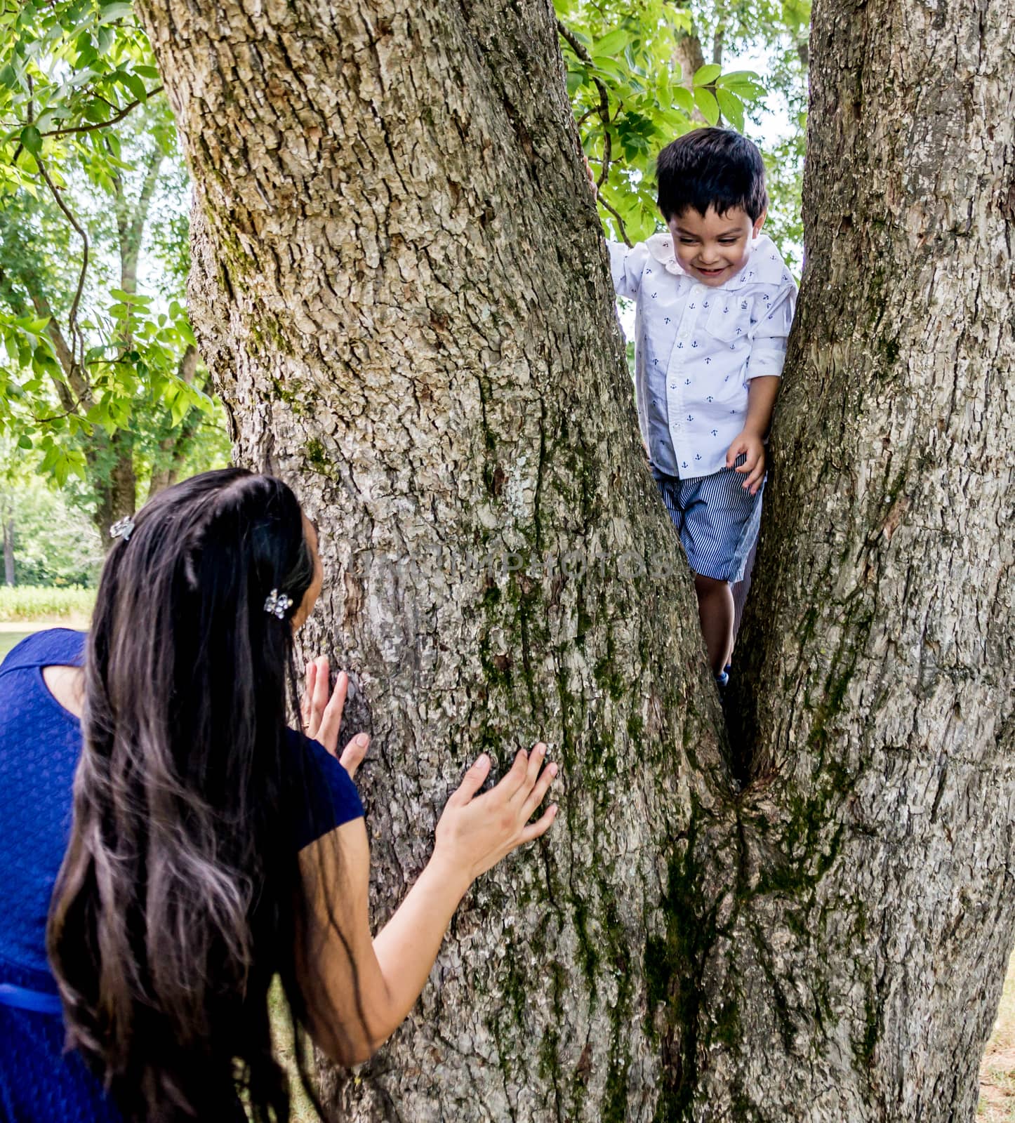 Latino mother and son at a tree. Mother is looking at the child with her back to the camera and child is standing in the V of a tree trunk looking down at mother with a smile on his face.