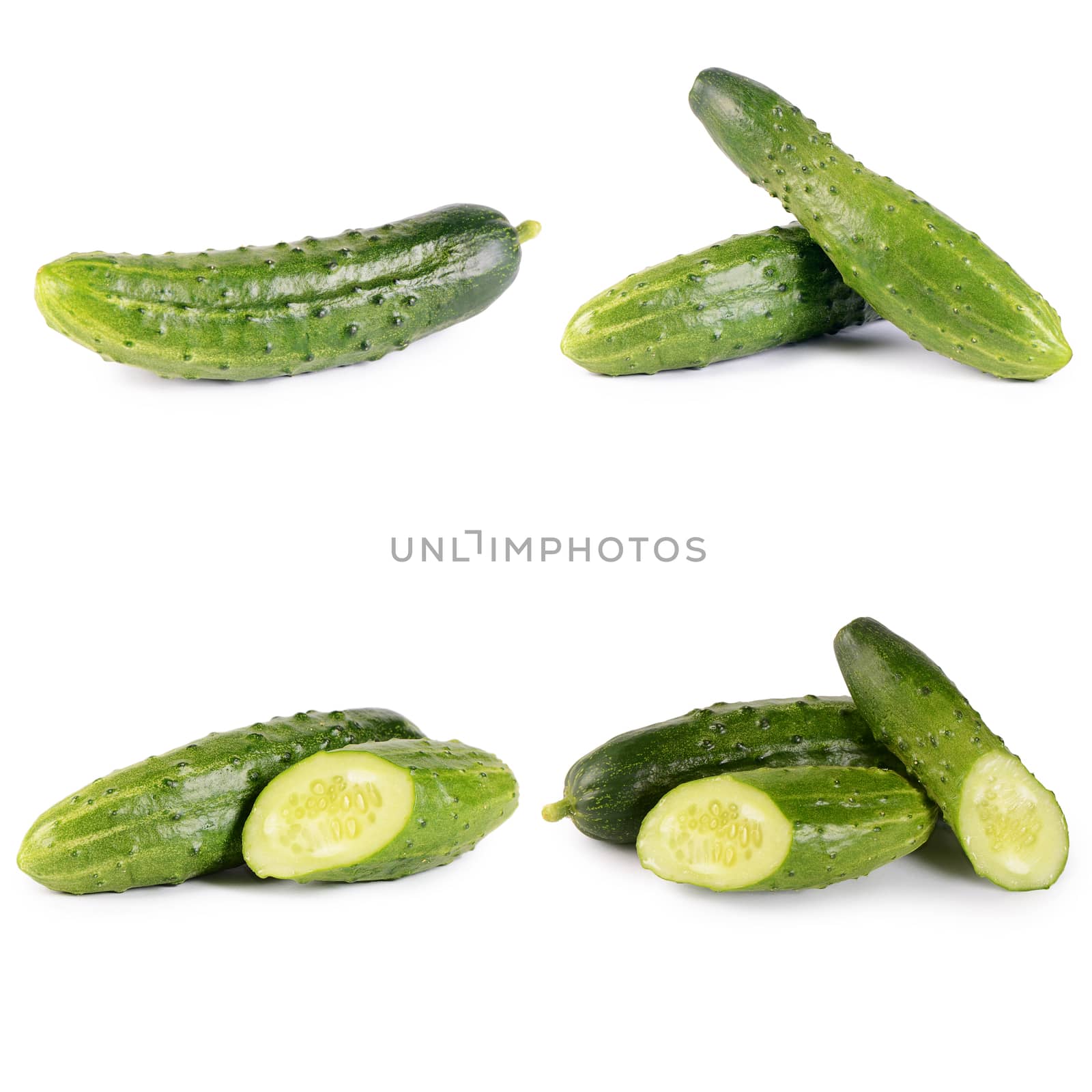 The fresh cucumber isolated on white background