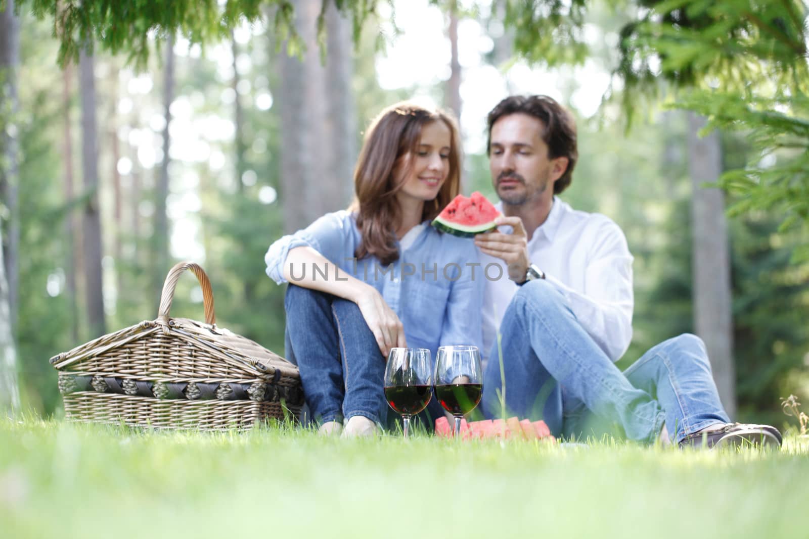 couple at picnic in the park