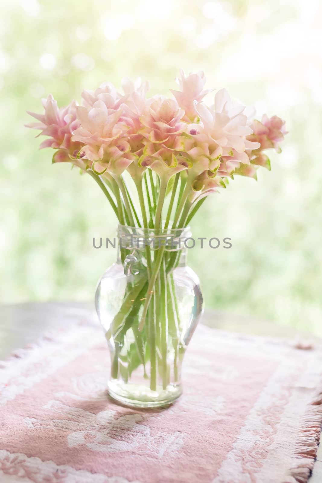 Defocus and soft focus pink blossom, delicate floral background with copy space. Use painting effect .