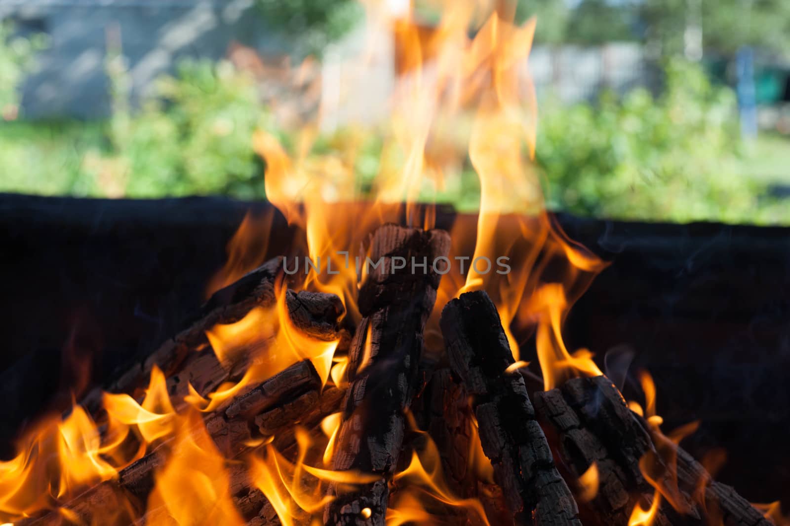 Beautiful fire with flames charred wood by mcherevan