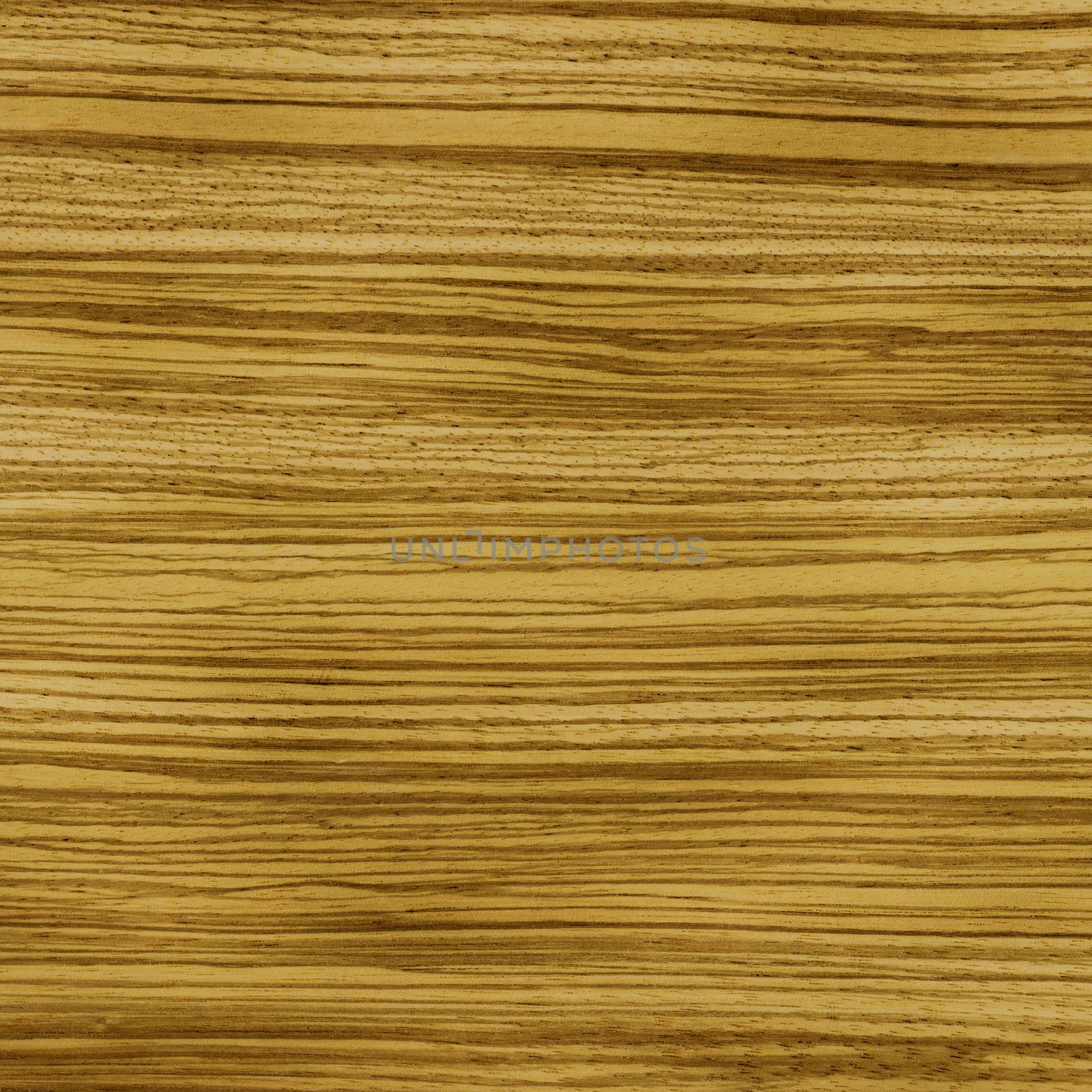 Wood, Zebrano Veneer by alexcoolok