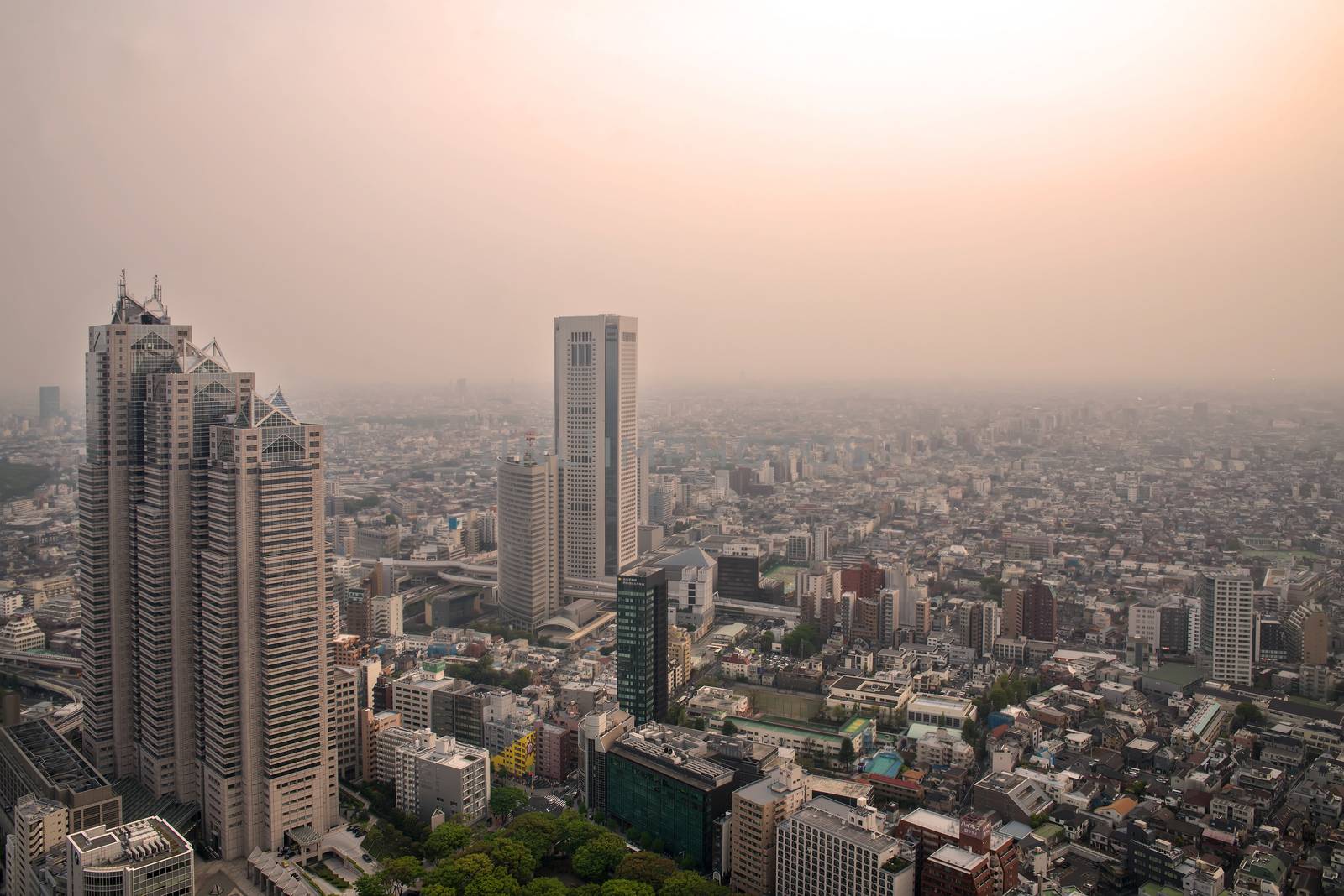 Cityscape of Tokyo, the view from free observator of Tokyo Metro by Yuri2012