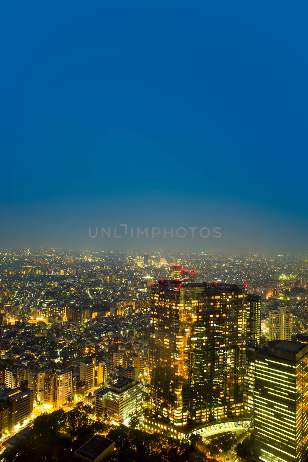  from free observator of Tokyo Metroplitan Government building by Yuri2012