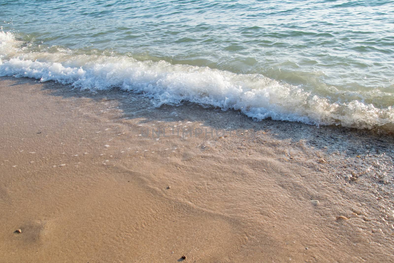 sea wave on sand beach