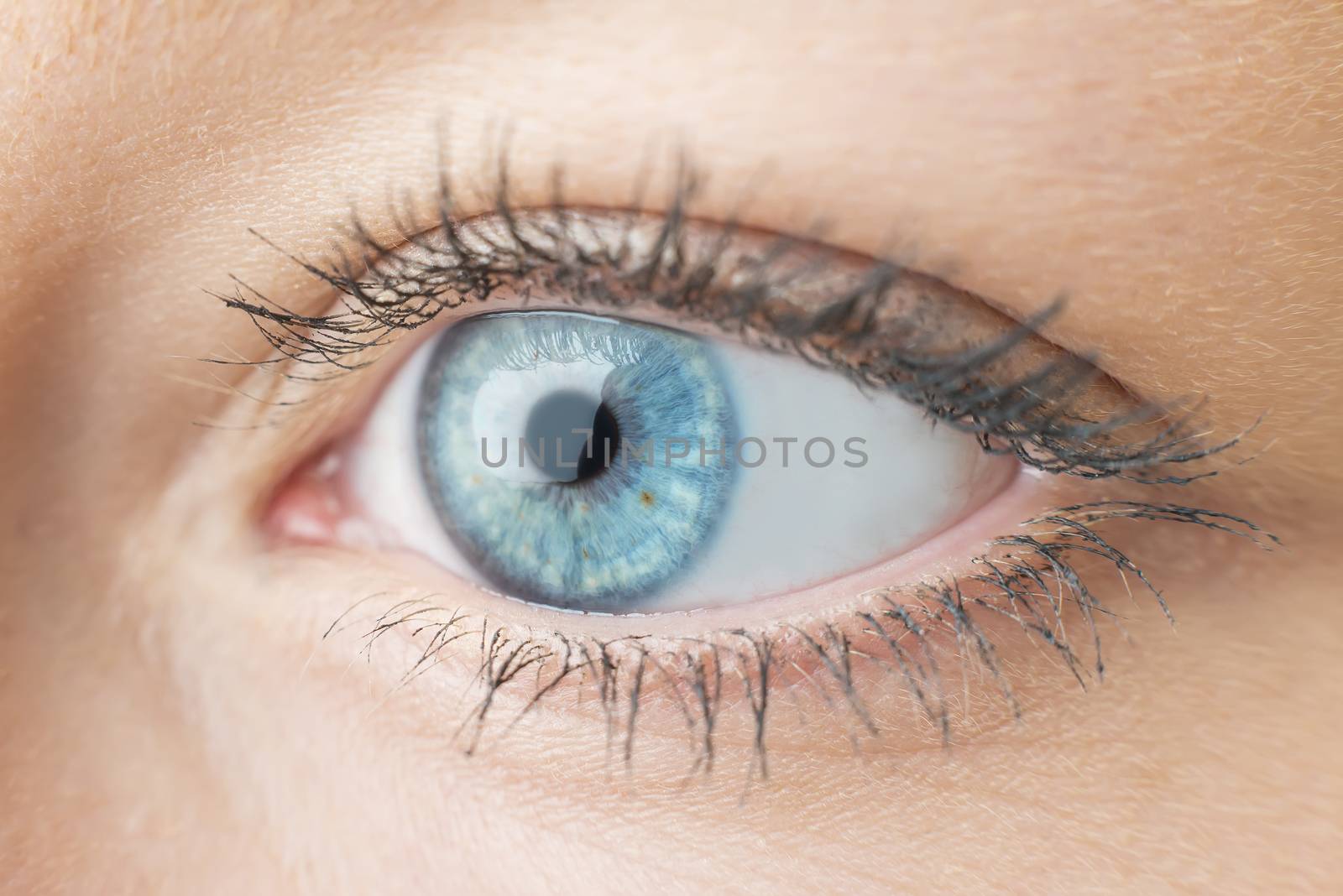 Closeup of the eye of a woman