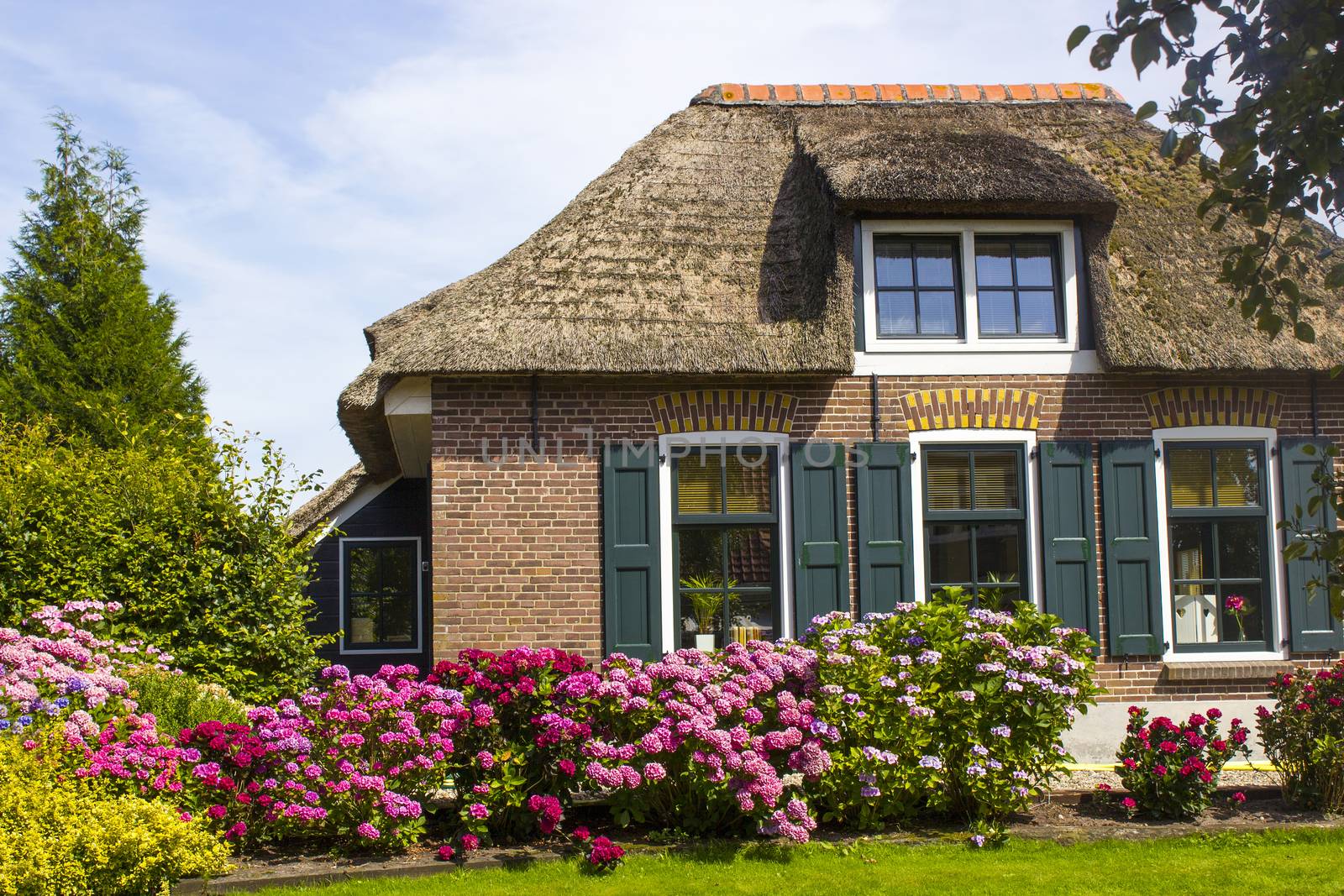 GIETHOORN, NETHERLANDS -typical dutch county side of houses and gardens