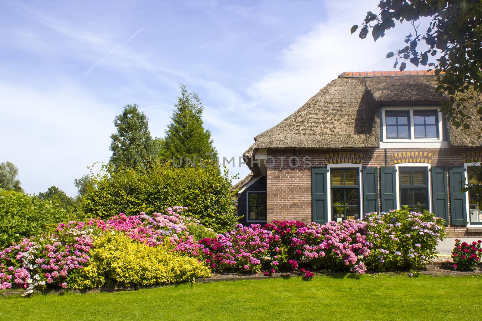 GIETHOORN, NETHERLANDS -typical dutch county side of houses and gardens