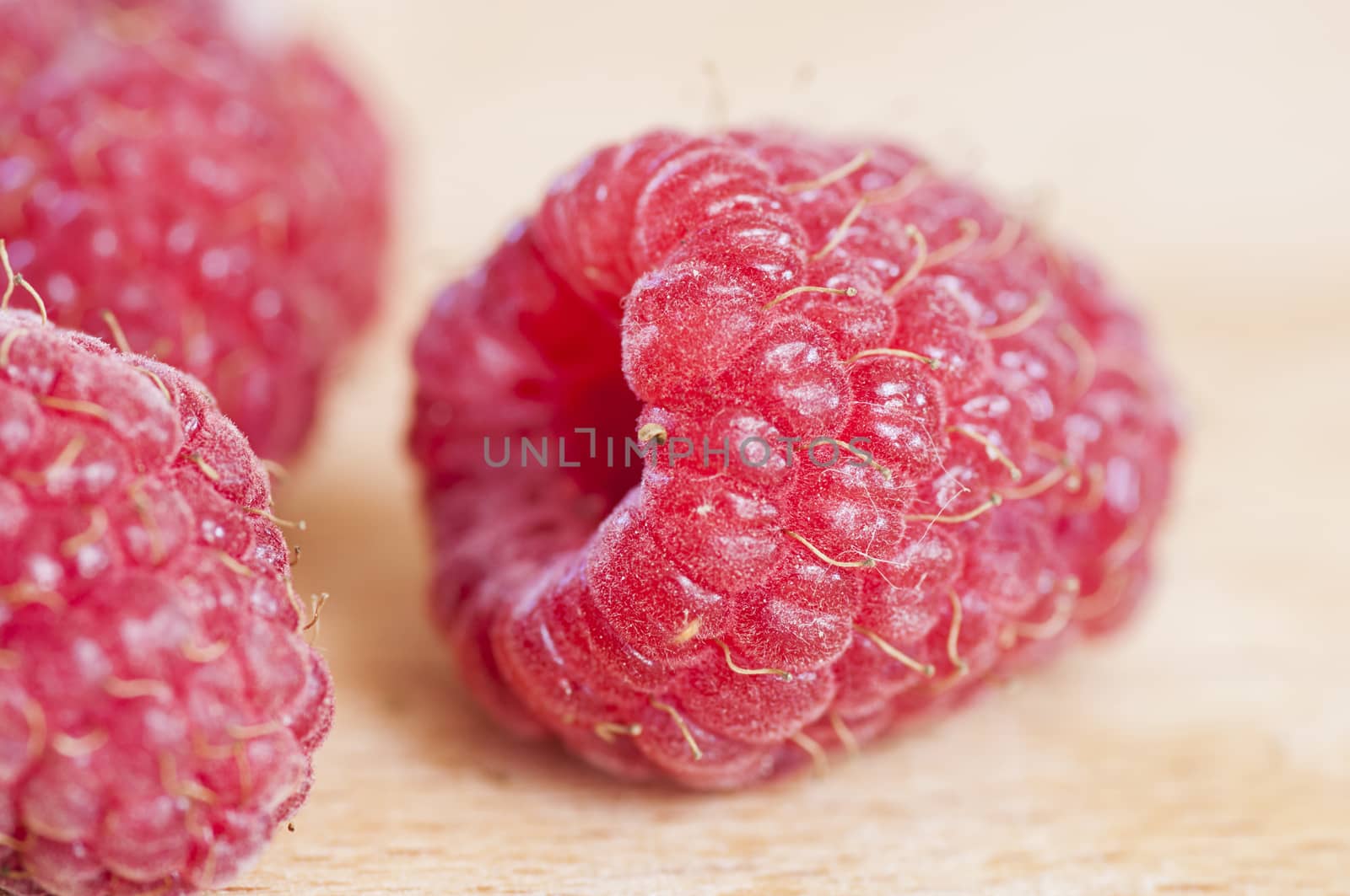 Ripe organic raspberry by dred