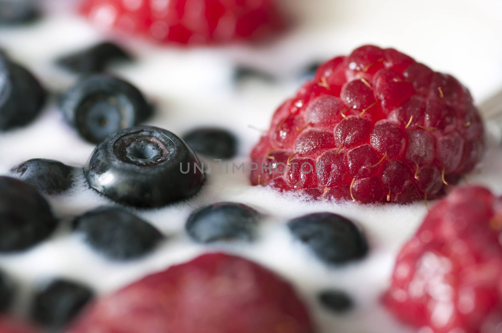 Delicious dessert made of yoghurt and ripe berries close up