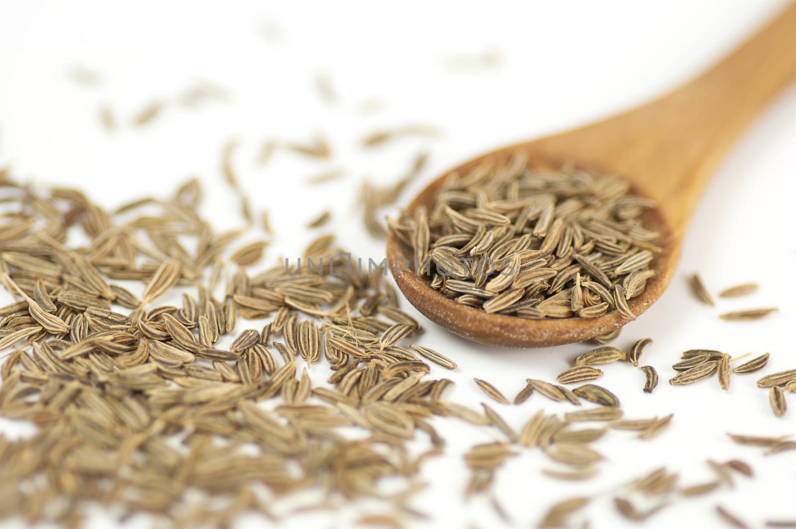 Caraway (Carum carvi) seeds background by dred