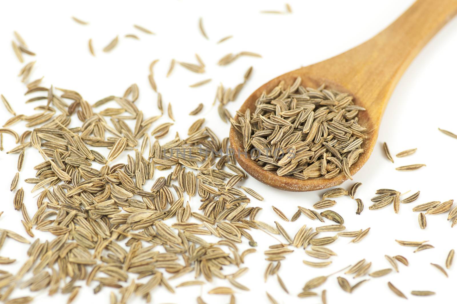 Caraway (Carum carvi) seeds close up on white