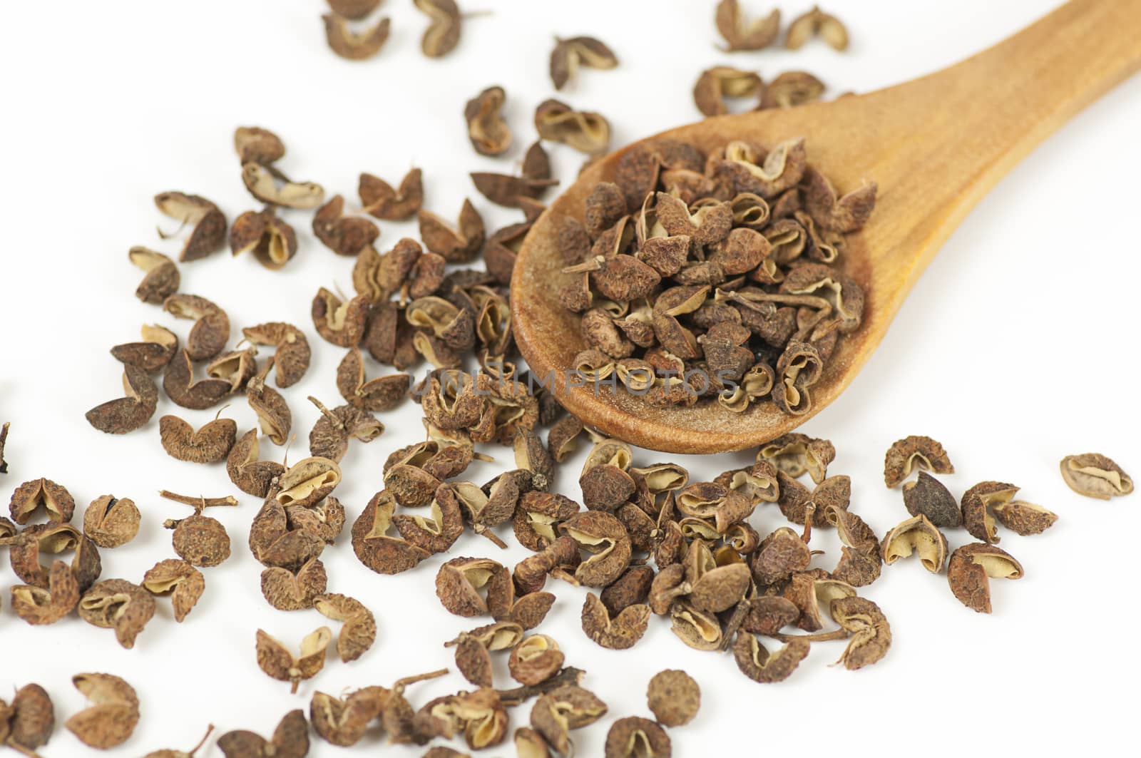 Sichuan pepper (dried seeds) close up on white