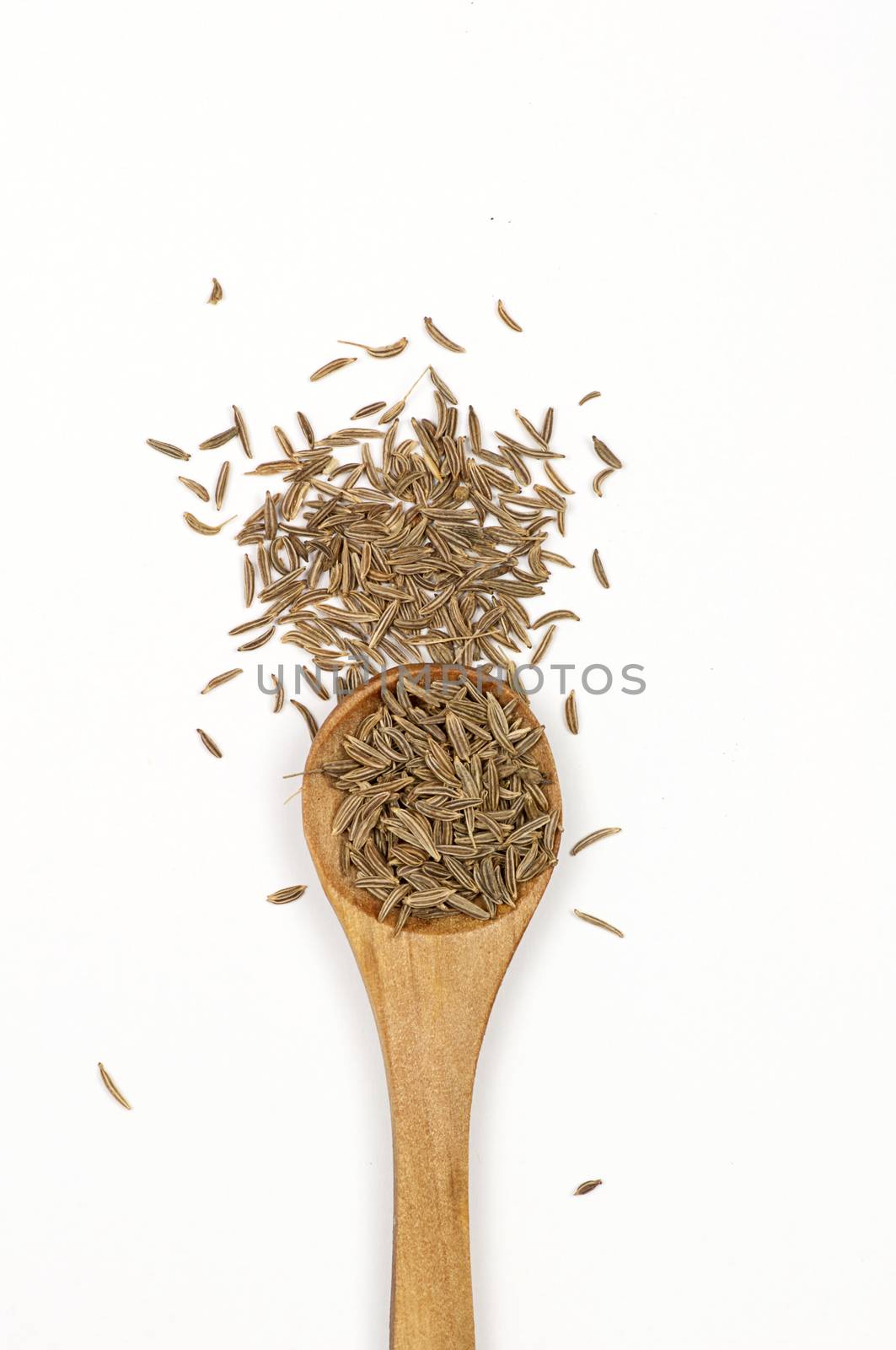 Caraway (Carum carvi) seeds close up isolated on white