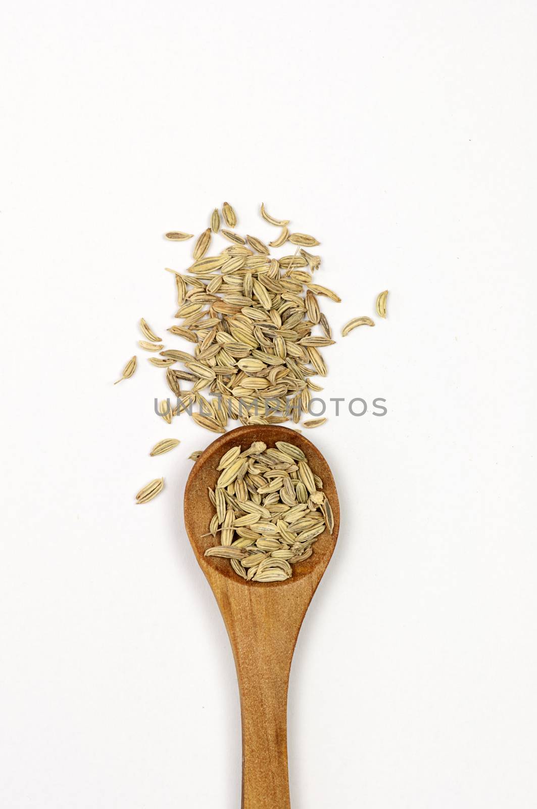 Fennel seeds close up isolated on white background