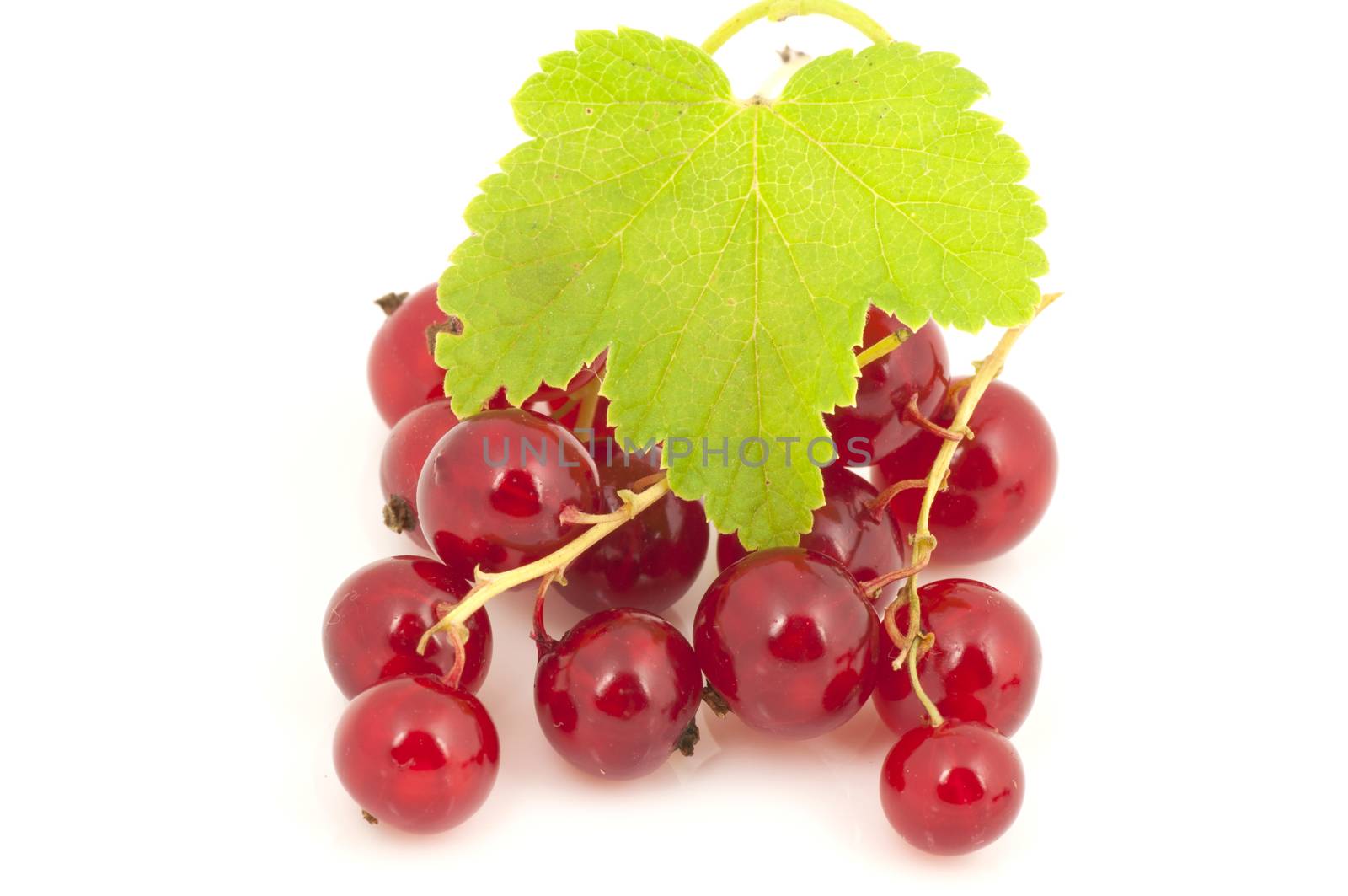 Ripe red currants close up isolated on white