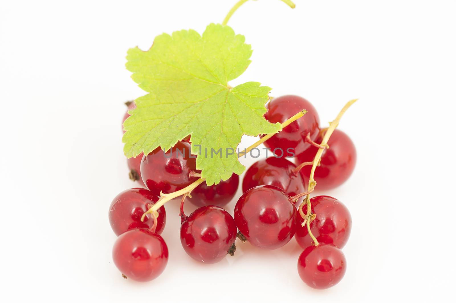 Ripe red currants close up isolated on white